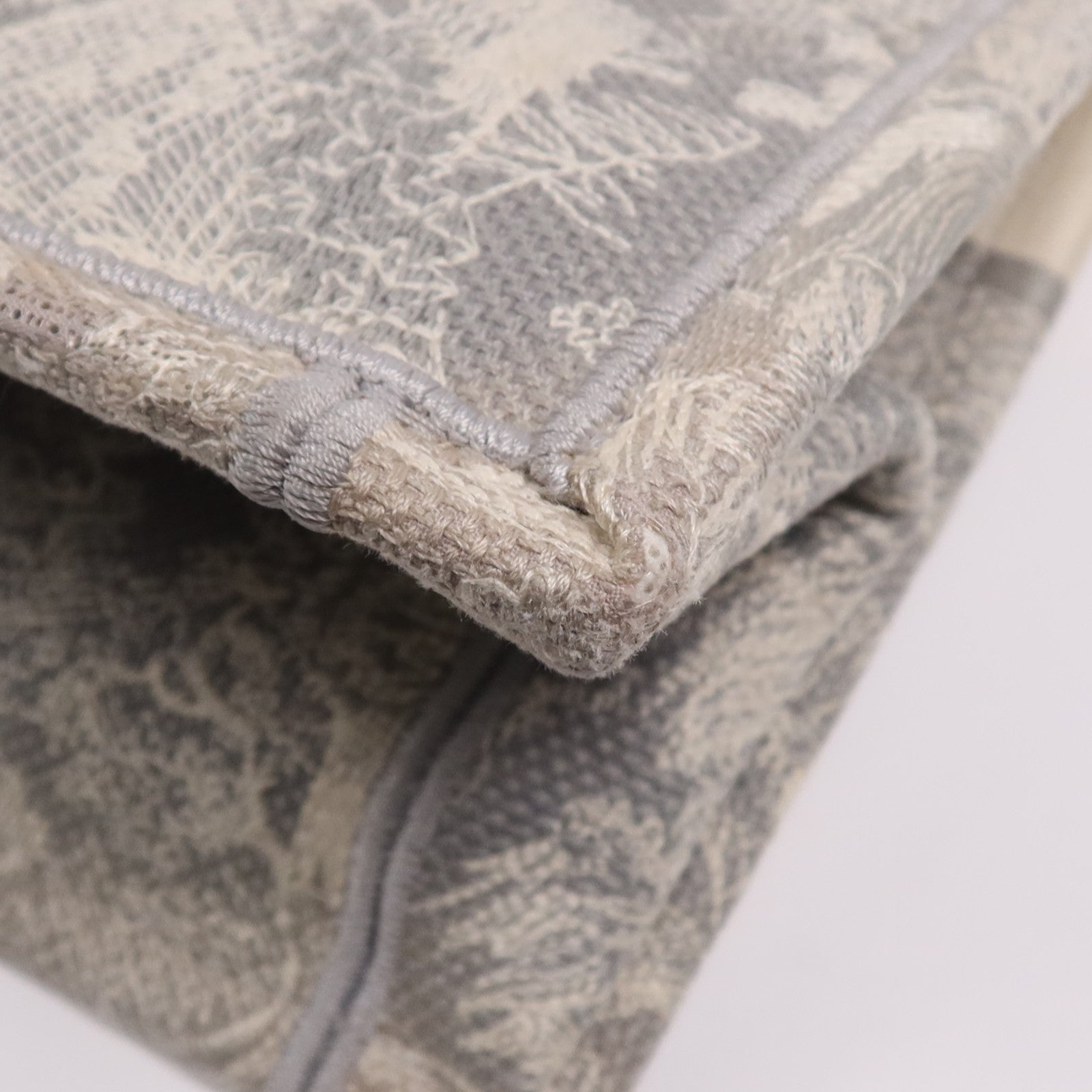 Dior 帆布Book Tote手挽袋