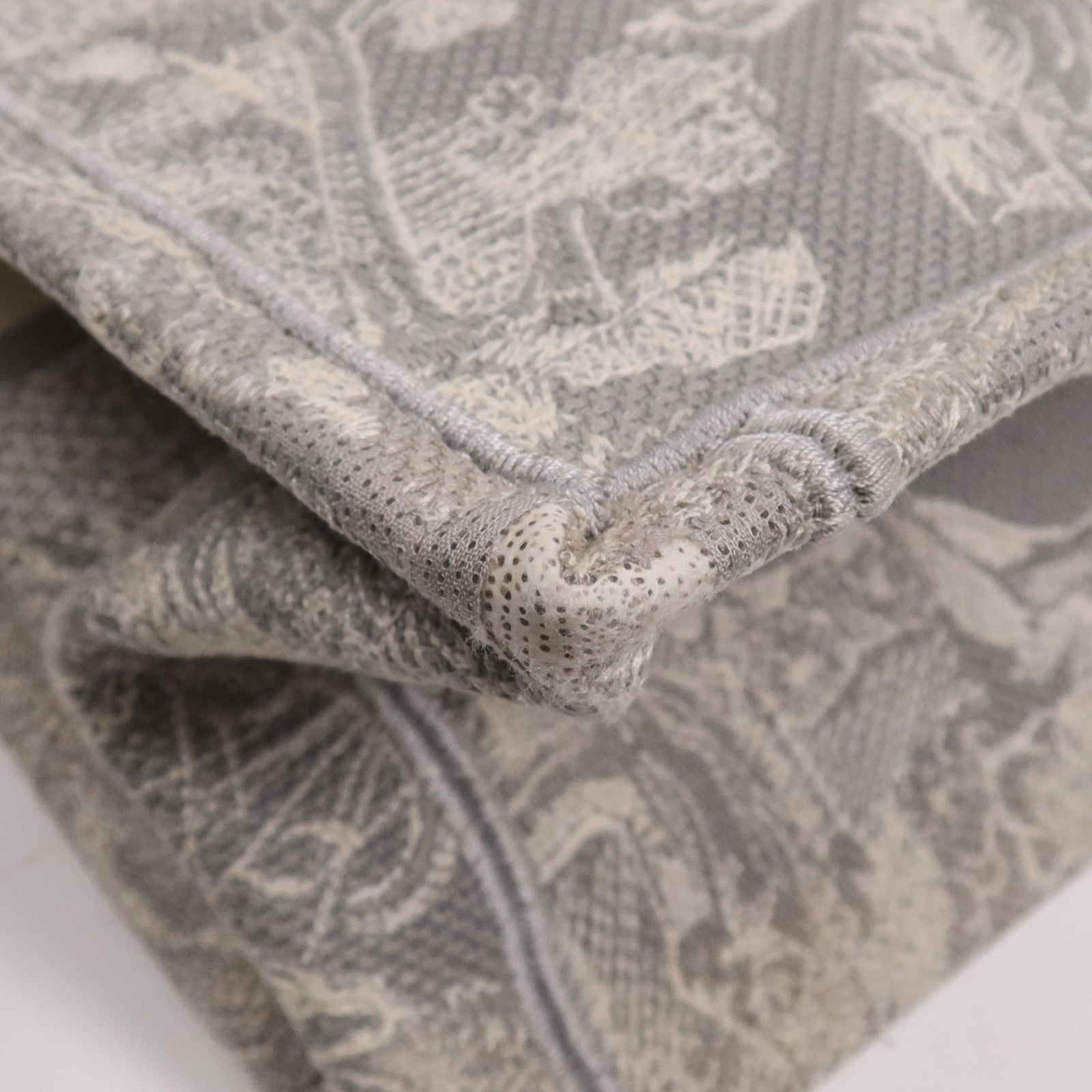 Dior 帆布Book Tote手挽袋