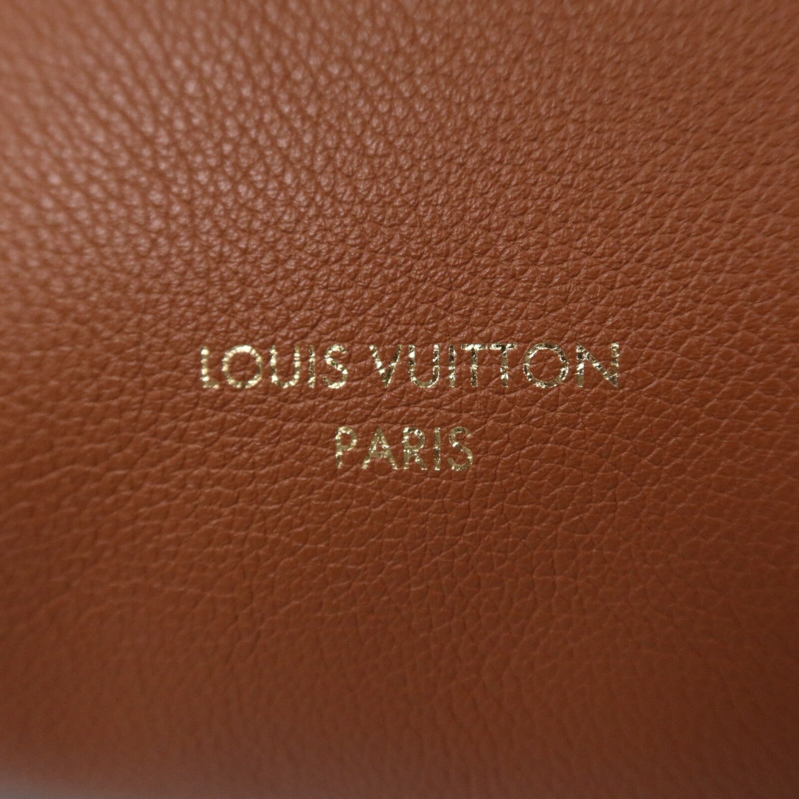 LOUIS VUITTON 牛皮皮革Low Key Hobo PM金扣肩背袋