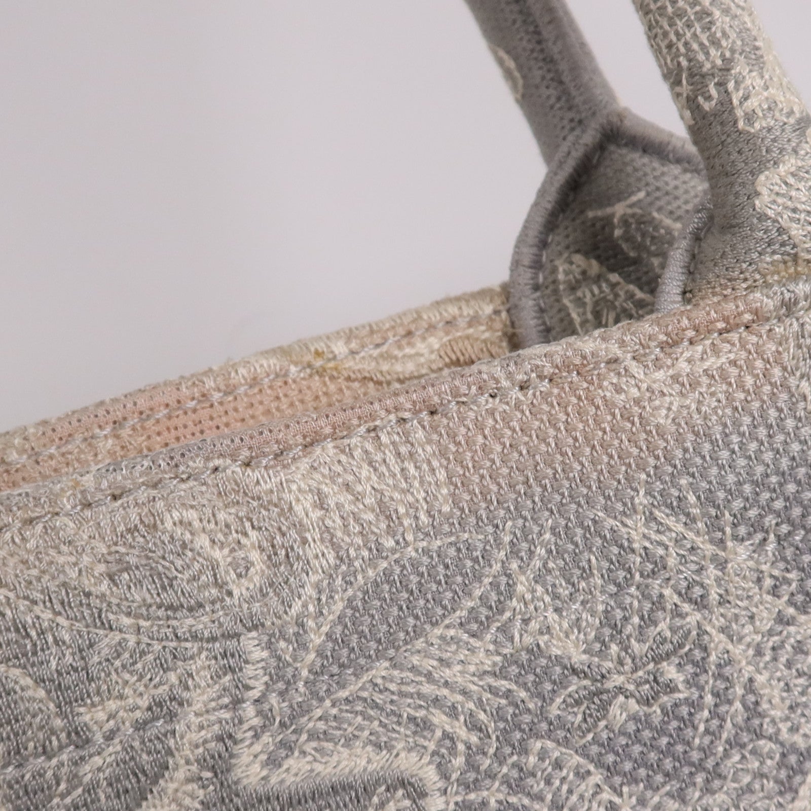 Dior 帆布Book Tote手挽袋