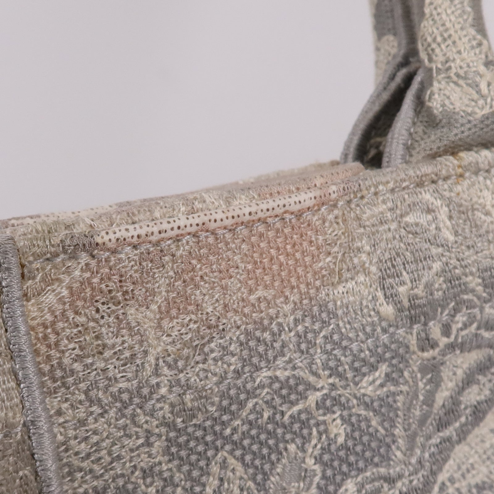 Dior 帆布Book Tote手挽袋