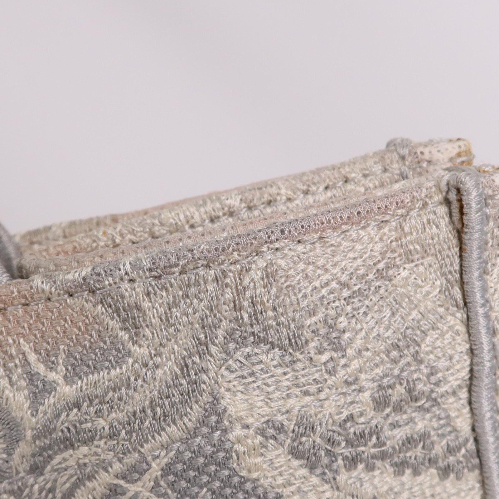 Dior 帆布Book Tote手挽袋