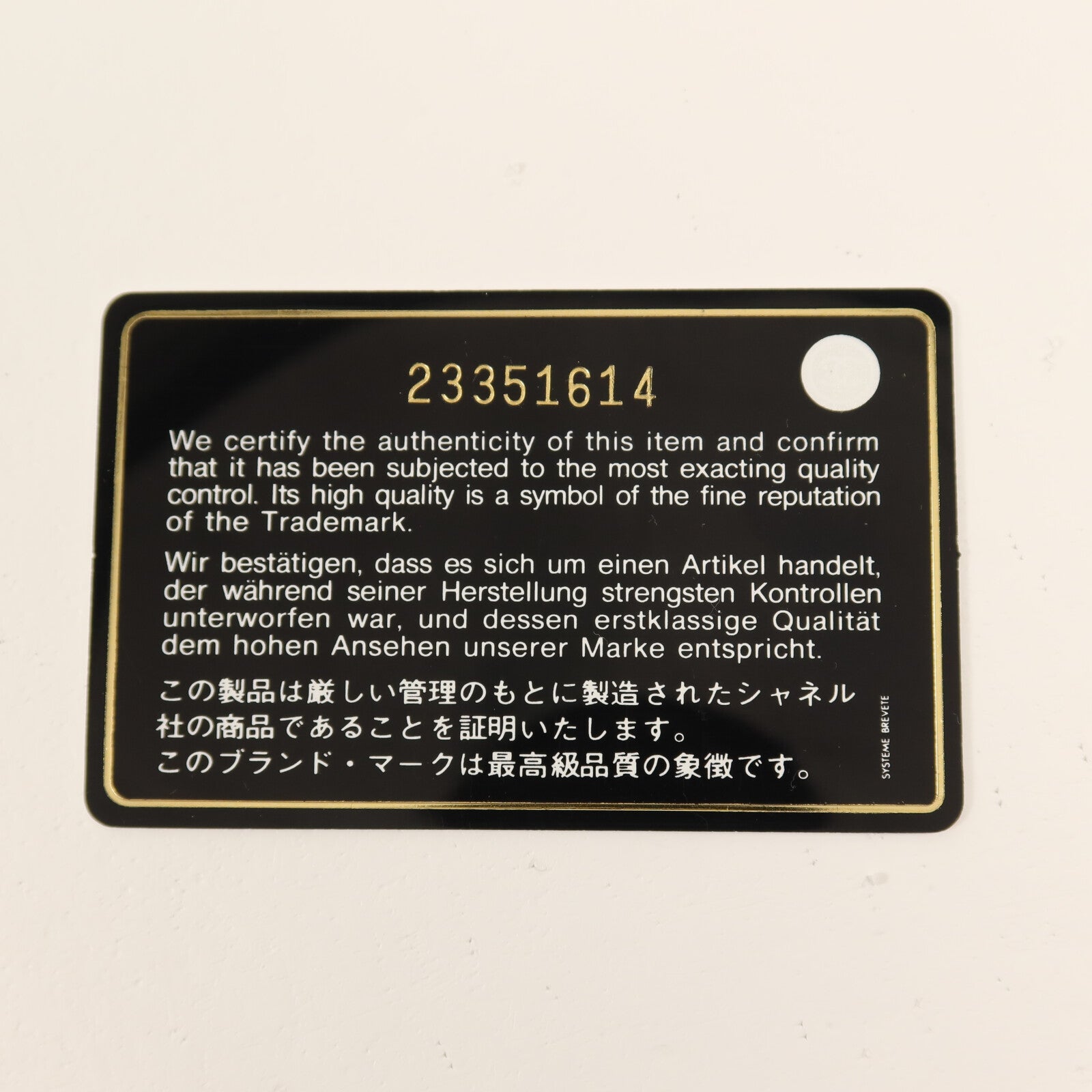 CHANEL 牛皮皮革/蜥蝪皮革Coco Handle Medium銀扣鏈帶手挽肩背兩用袋