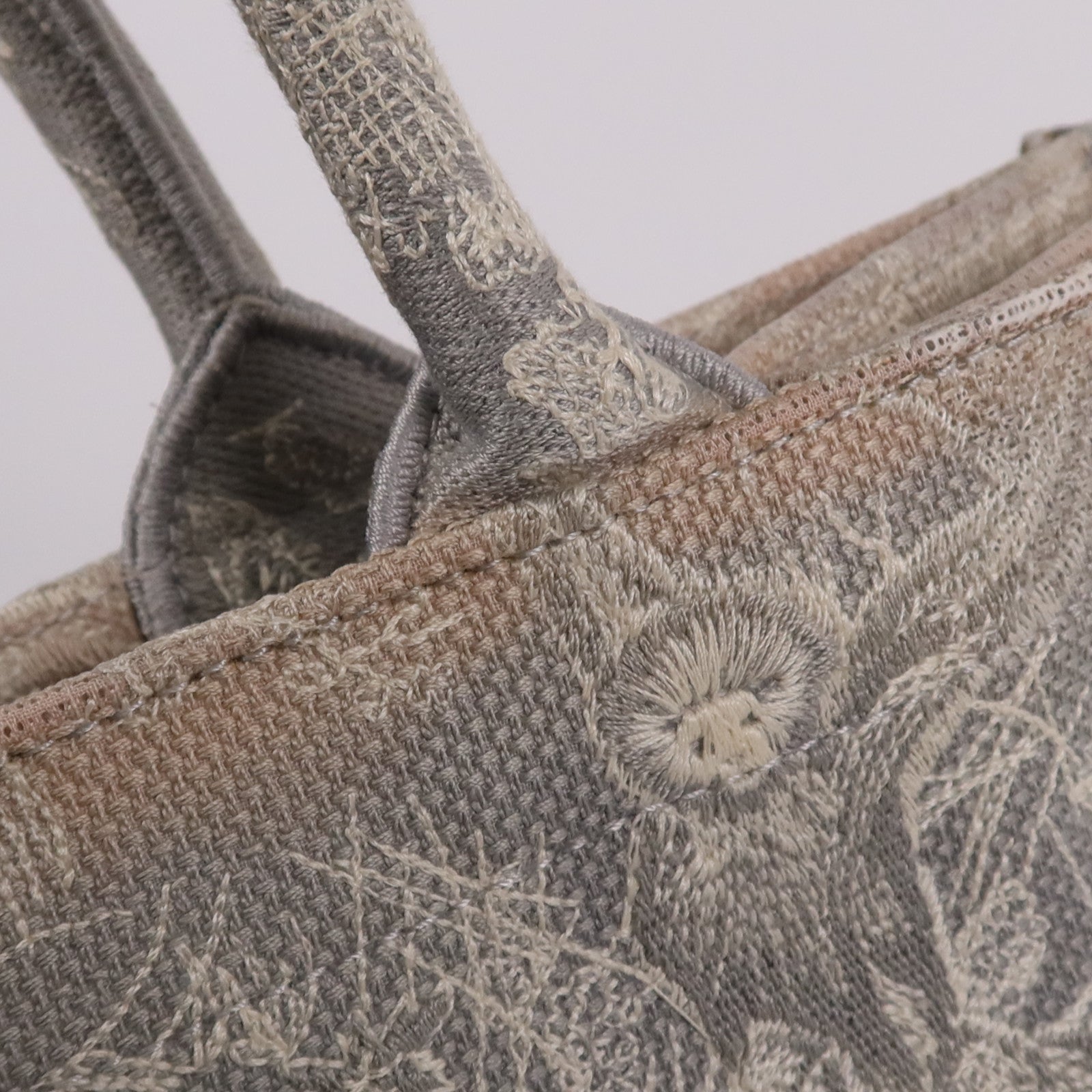 Dior 帆布Book Tote手挽袋