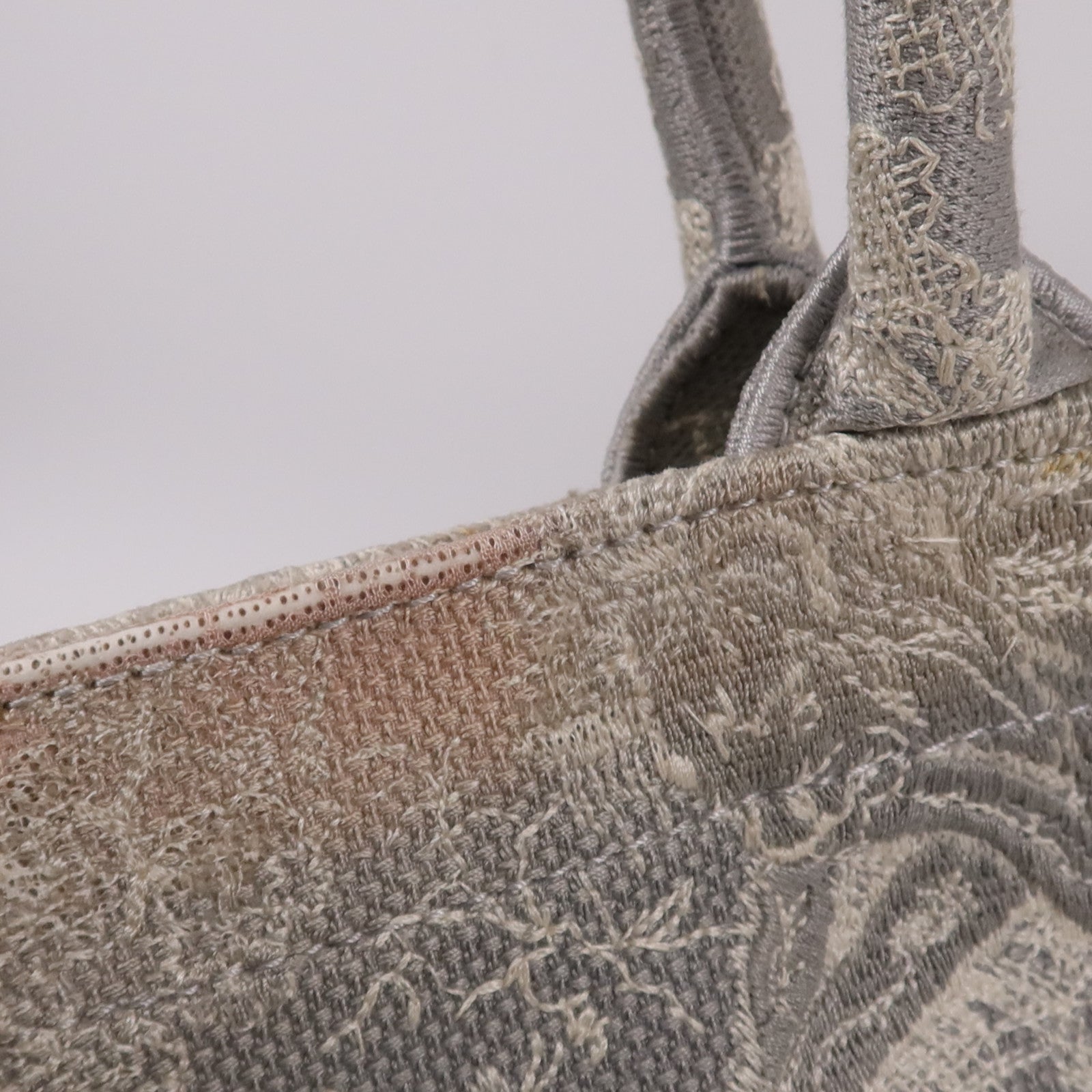 Dior 帆布Book Tote手挽袋