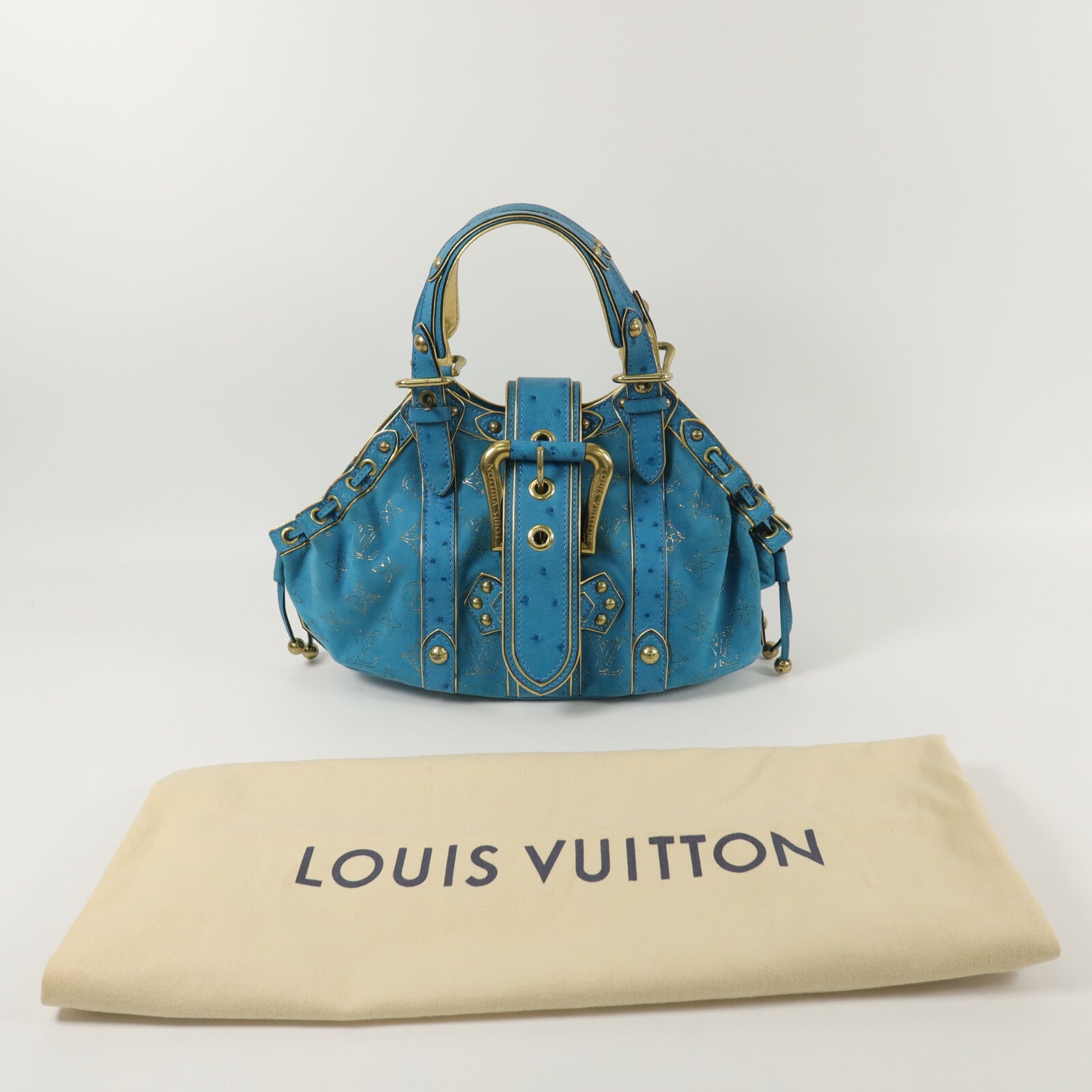 LOUIS VUITTON 麂皮皮革/珍稀皮革Theda GM肩背袋