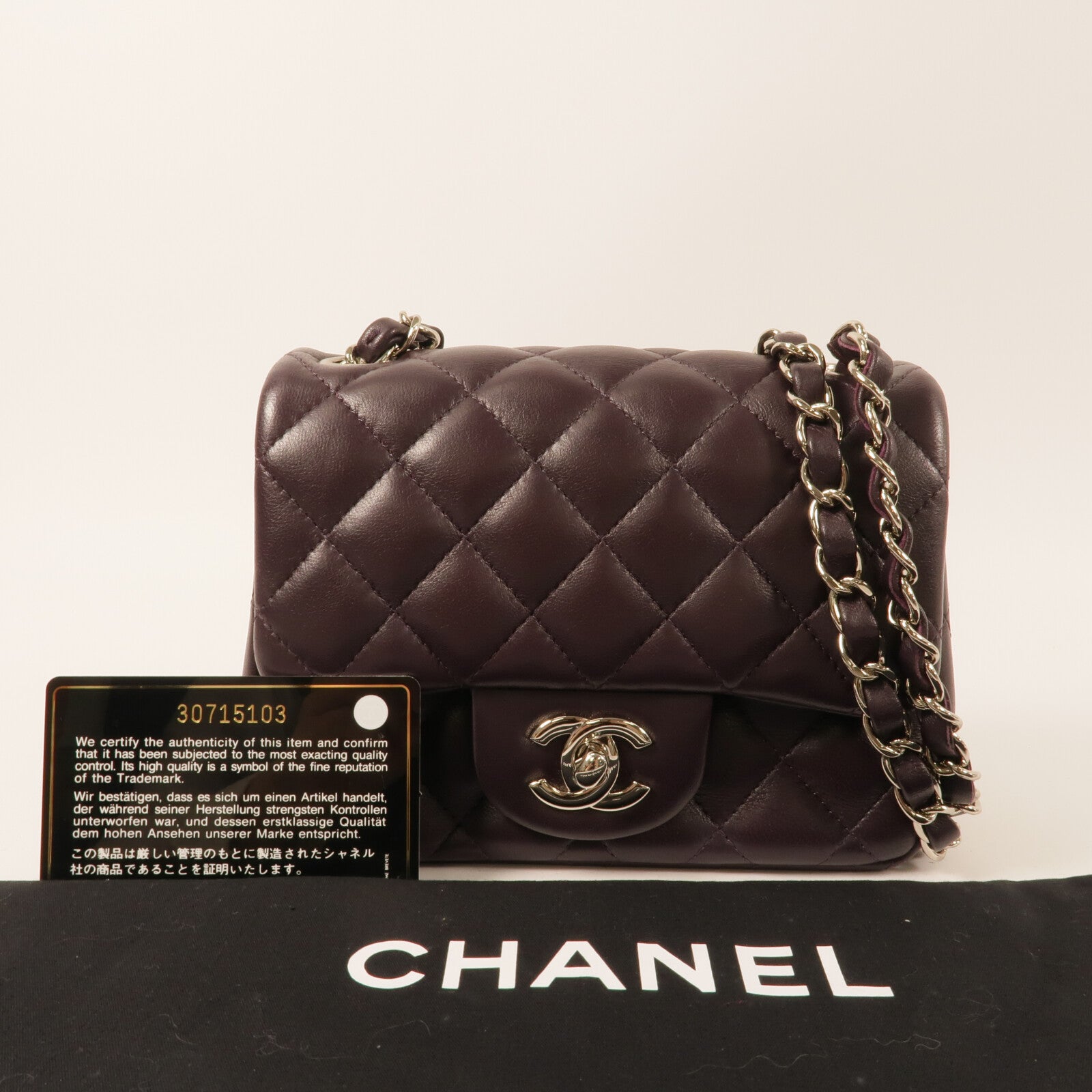 CHANEL 羊皮皮革Mini Classic 17鏈帶肩背袋