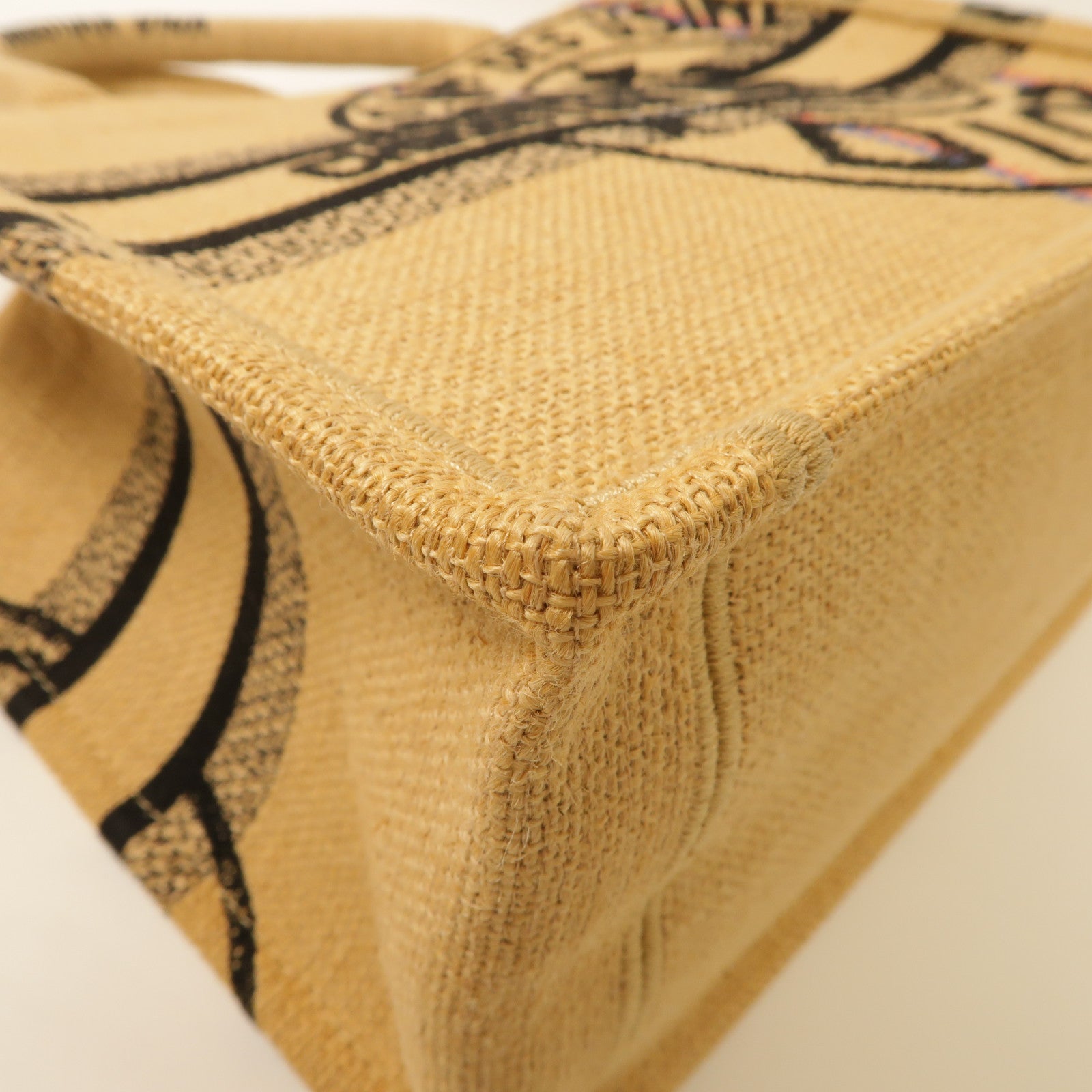 Dior 帆布Handbag手挽袋