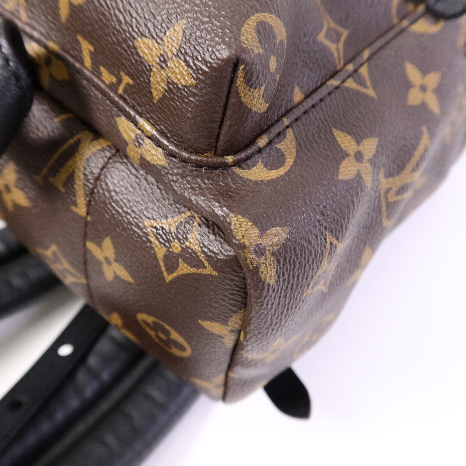 LOUIS VUITTON Monogram Palm Springs PM背包