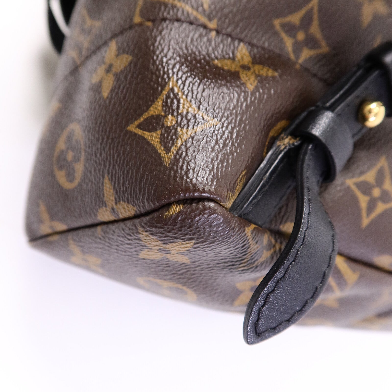LOUIS VUITTON Monogram Palm Springs PM背包