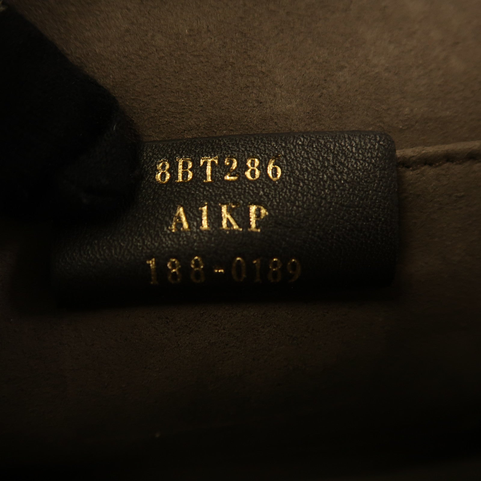 FENDI 蛇皮皮革Kan I鏈帶肩背袋灰色