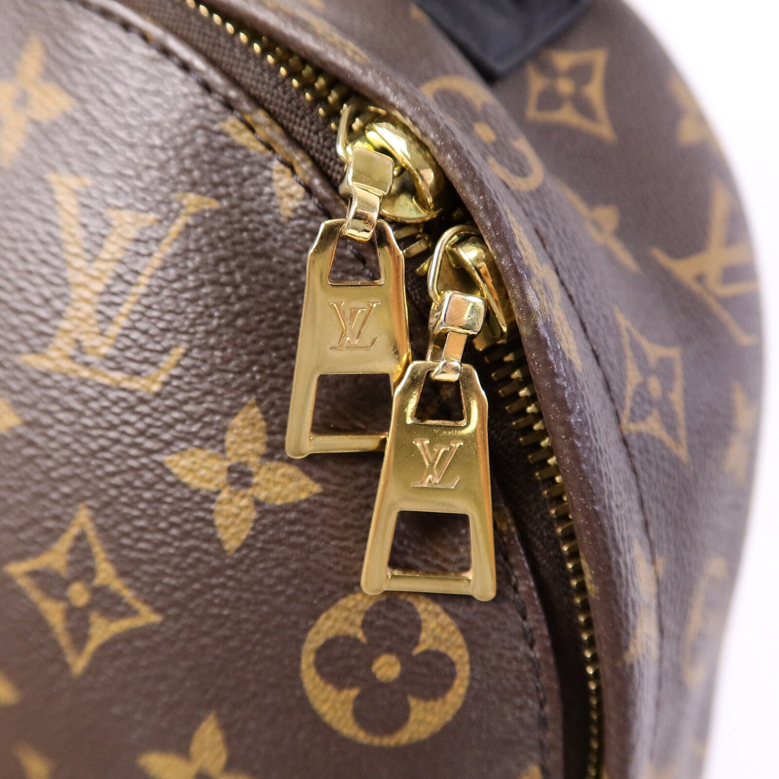 LOUIS VUITTON Monogram Palm Springs PM背包