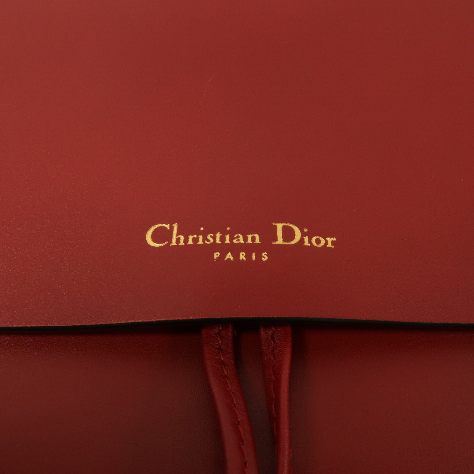 Dior 牛皮皮革Diorodeo手挽肩背兩用袋