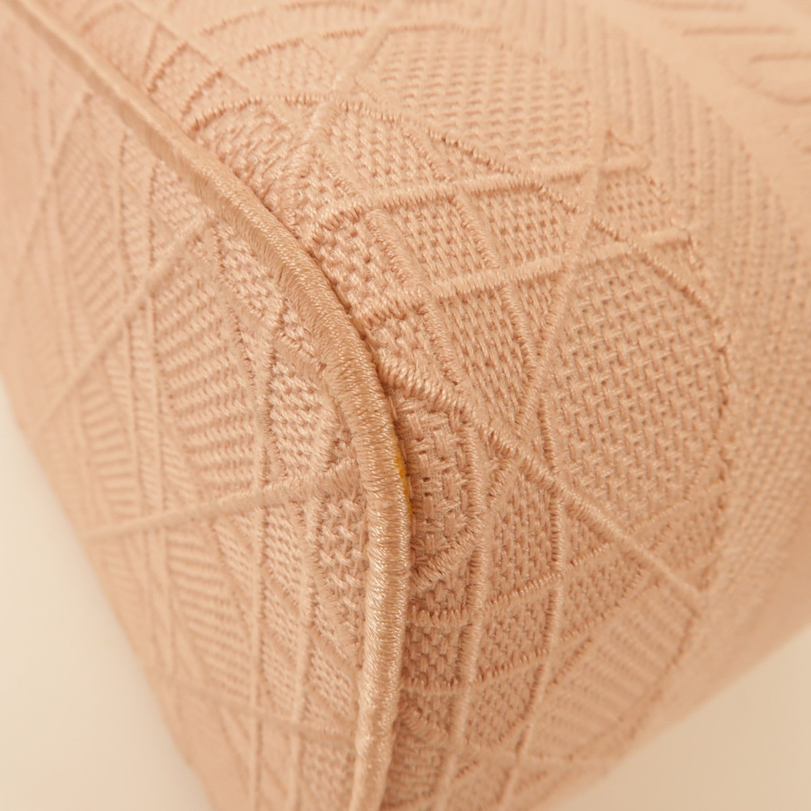 Dior SHW Vanity Bag Makeup Bag Cosmetic Bag Canvas Pink