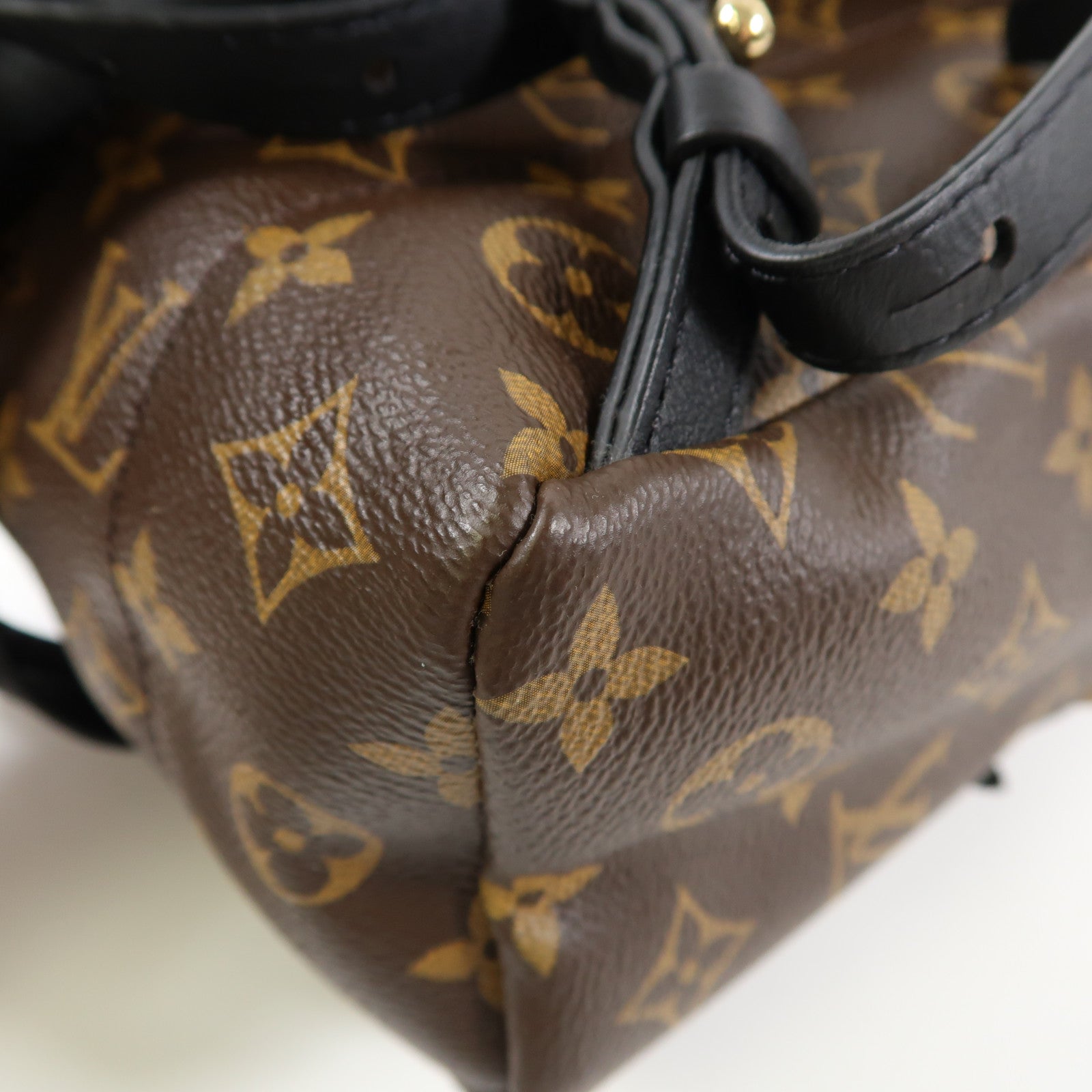 LOUIS VUITTON Monogram Palm Spring金扣背包