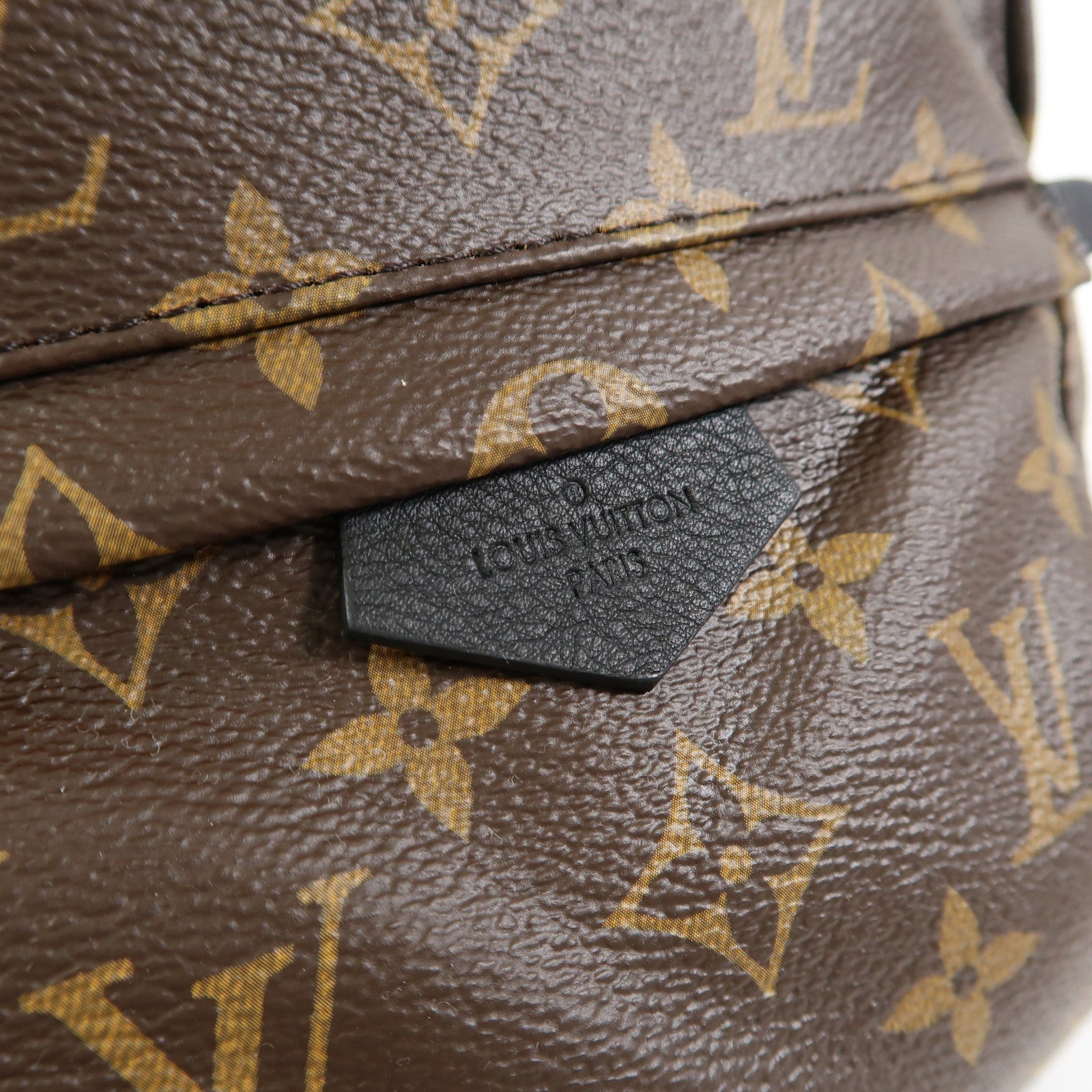 LOUIS VUITTON Monogram Palm Spring金扣背包