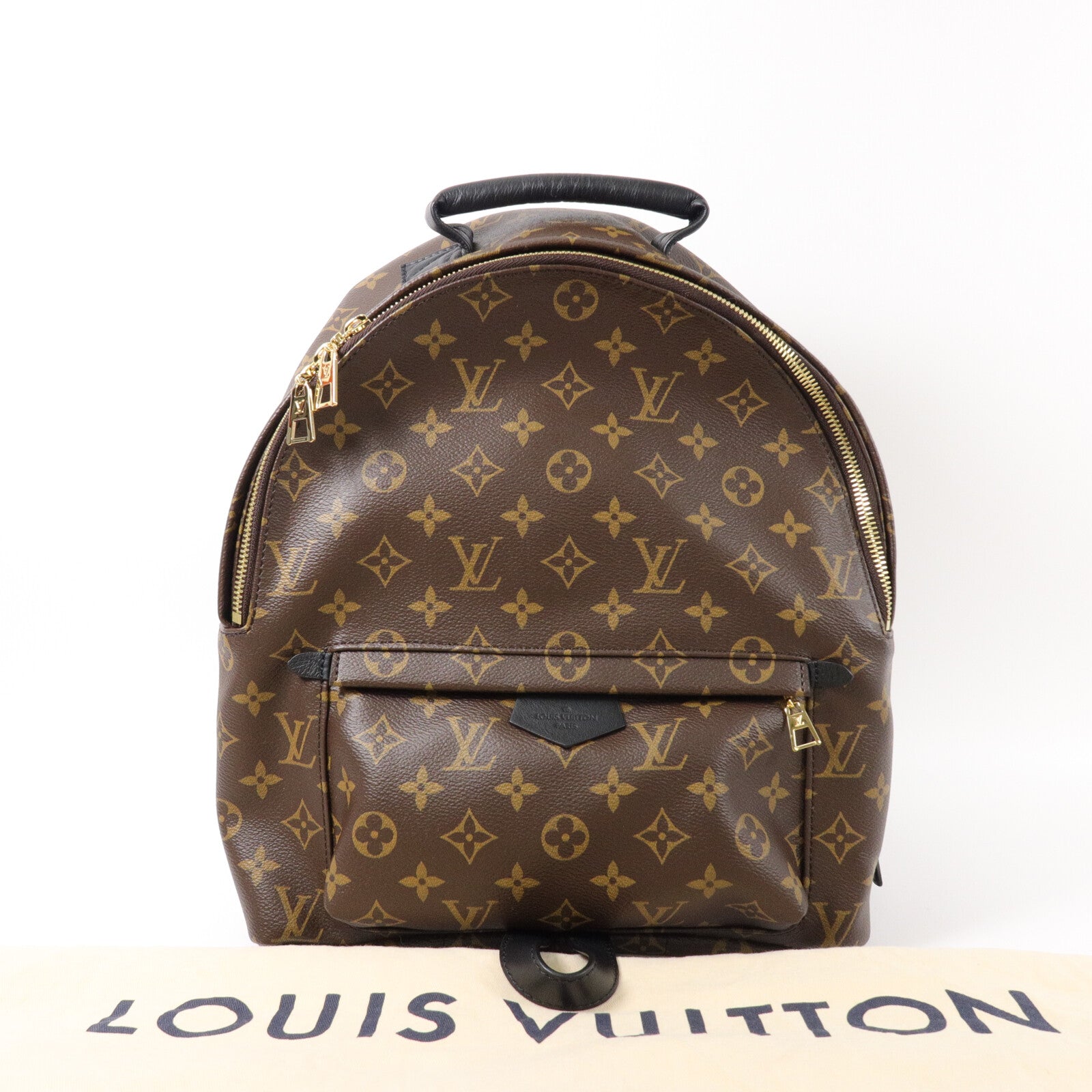 LOUIS VUITTON Monogram Palm Spring背包