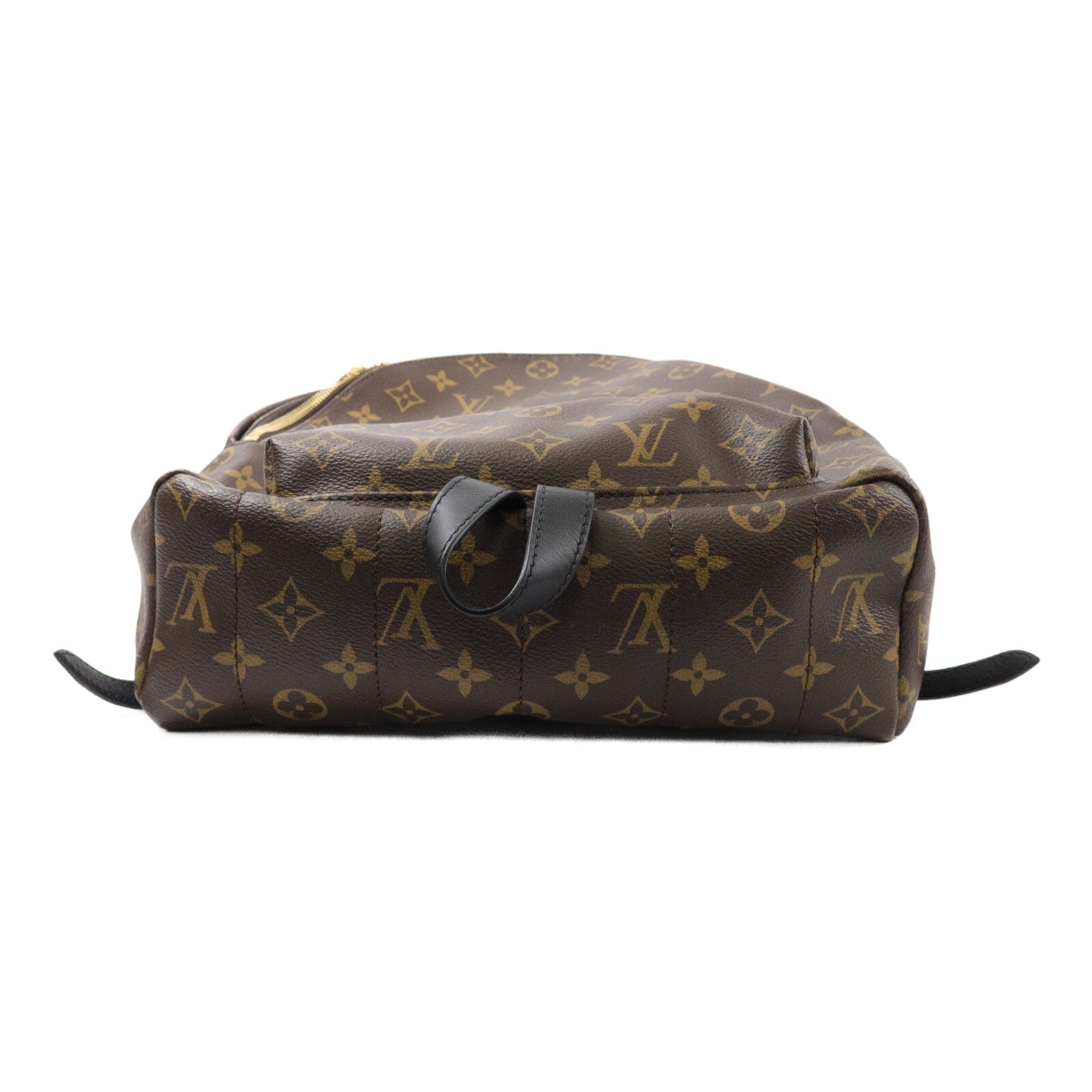LOUIS VUITTON Monogram Palm Spring背包