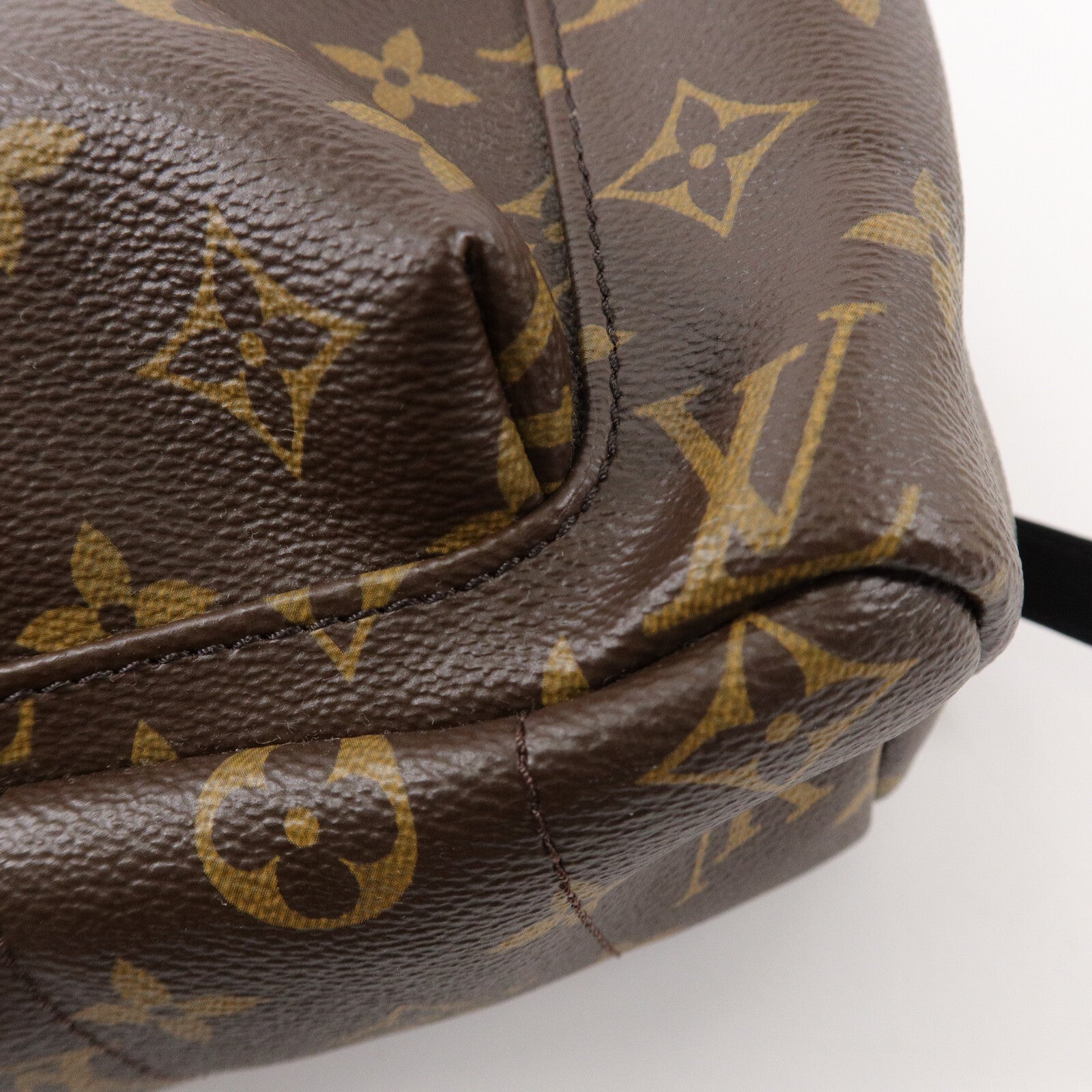 LOUIS VUITTON Monogram Palm Spring背包
