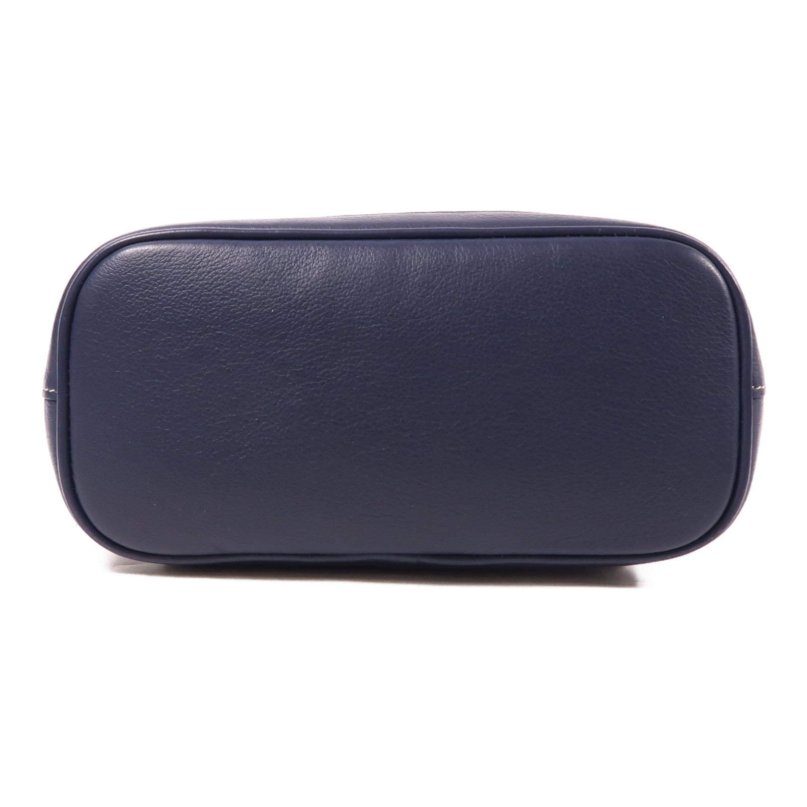 GOYARD 塗層帆布/牛皮皮革Alpin Mini Backpack銀扣背包