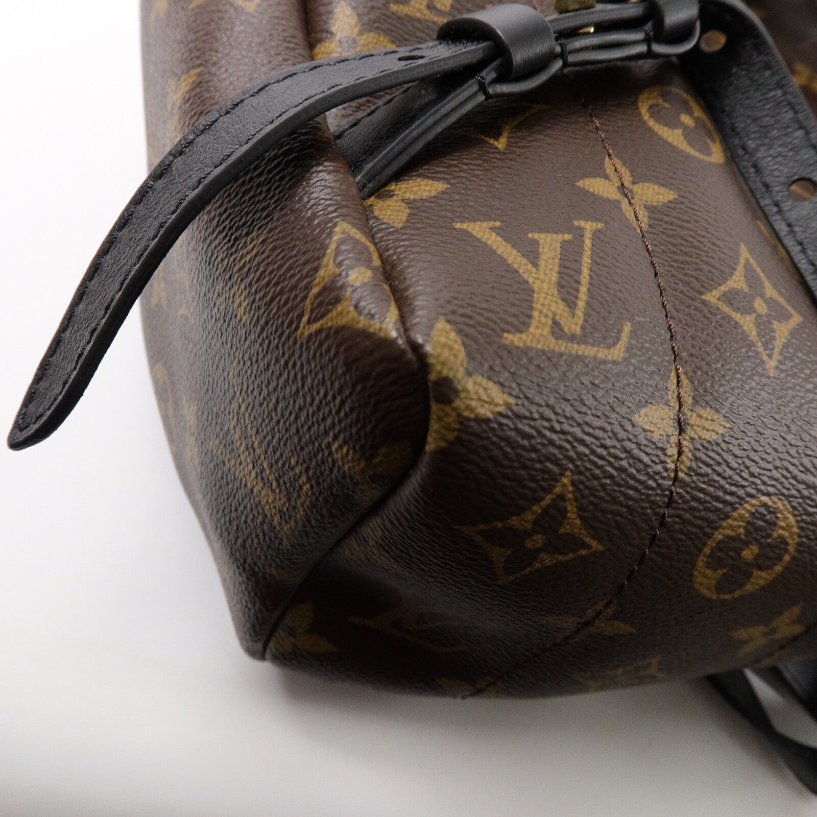 LOUIS VUITTON Monogram Palm Spring背包