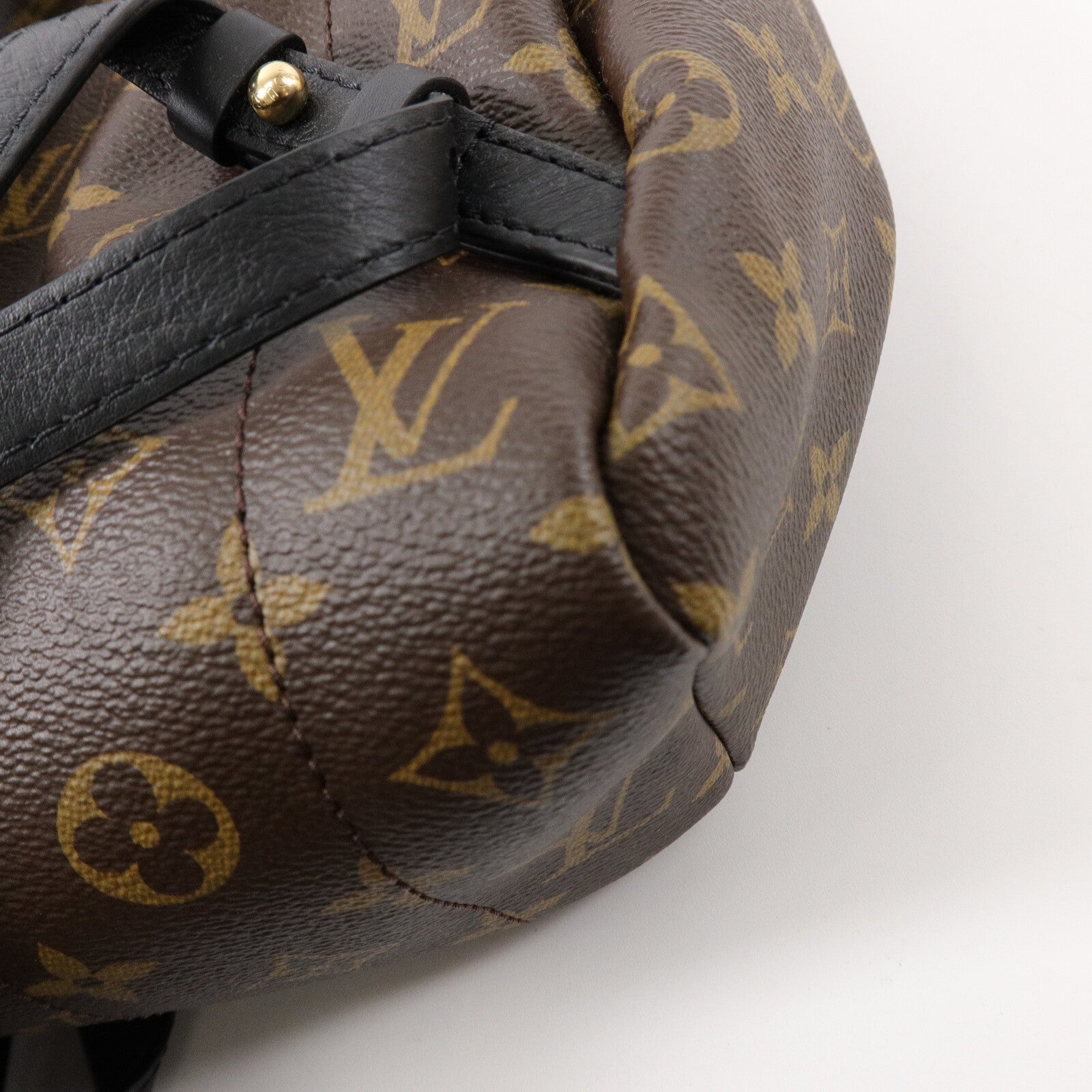LOUIS VUITTON Monogram Palm Spring背包