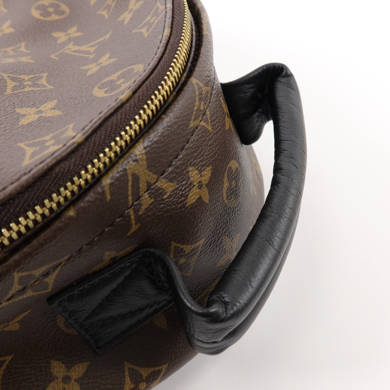 LOUIS VUITTON Monogram Palm Spring背包