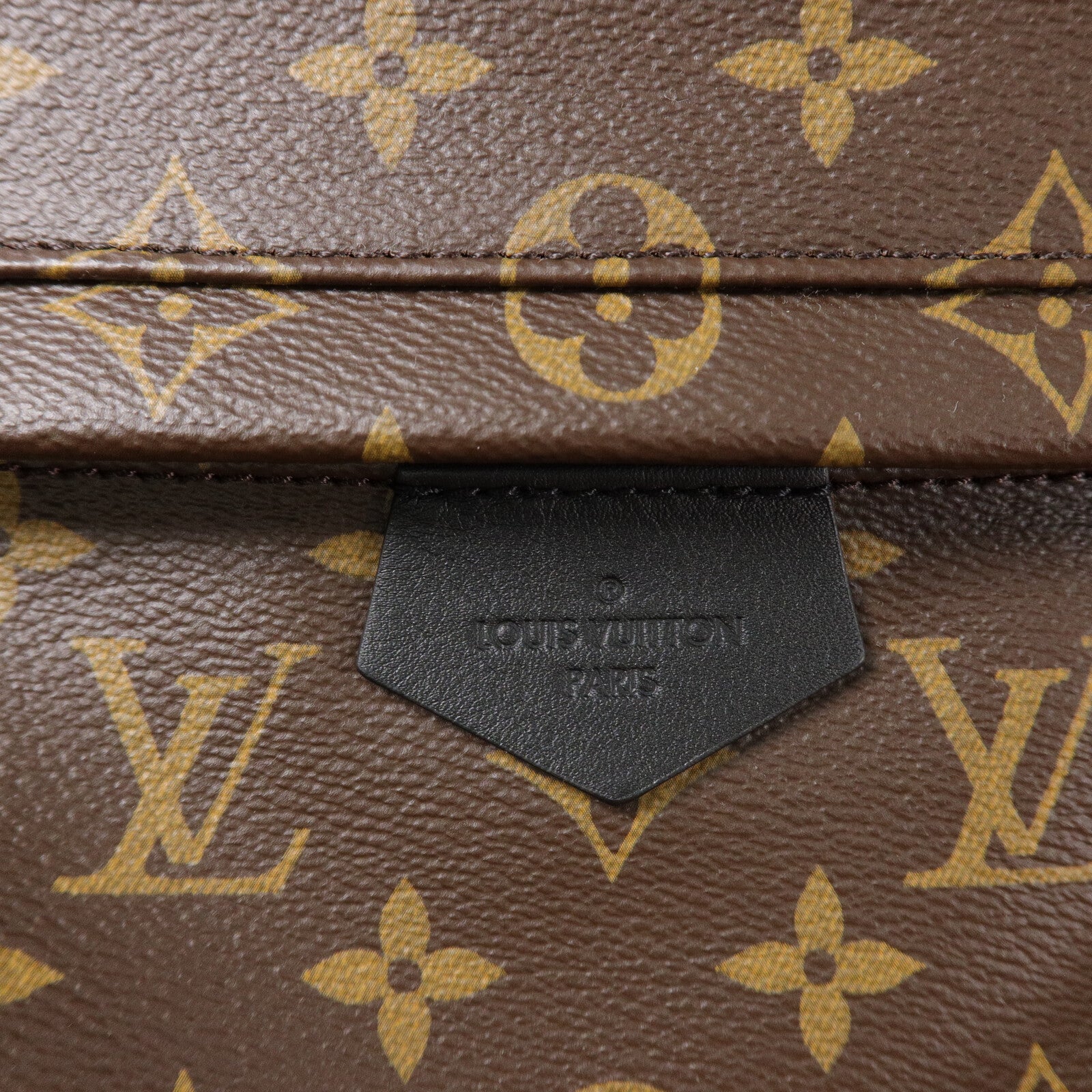 LOUIS VUITTON Monogram Palm Spring背包