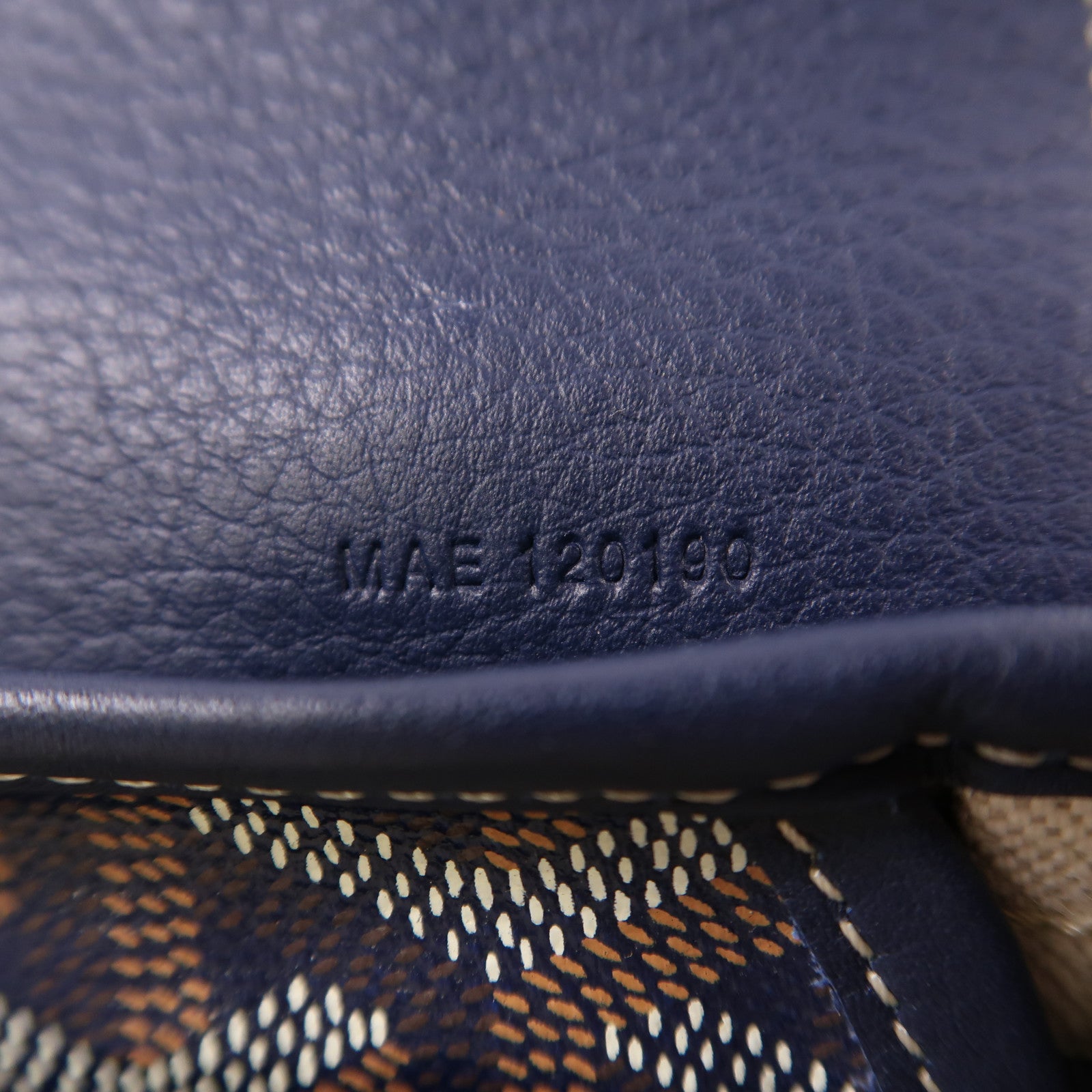 GOYARD 塗層帆布/牛皮皮革Alpin Mini Backpack銀扣背包