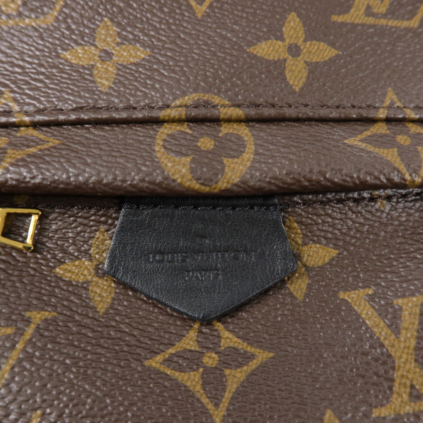 LOUIS VUITTON Monogram Palm Springs Mini背包