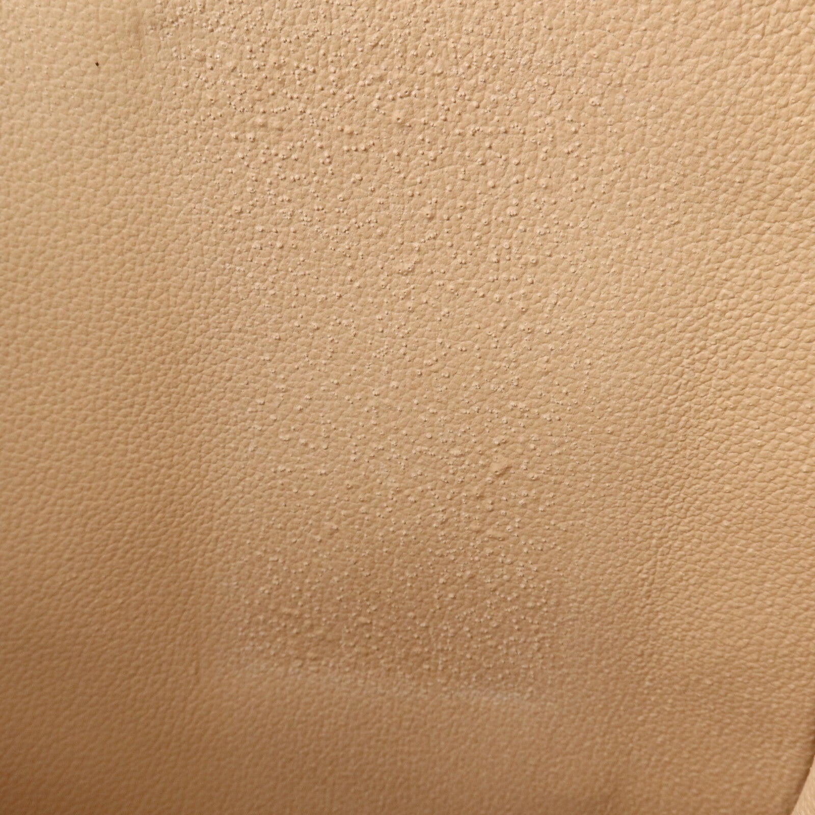 LOUIS VUITTON Monogram Sac Plat手挽袋