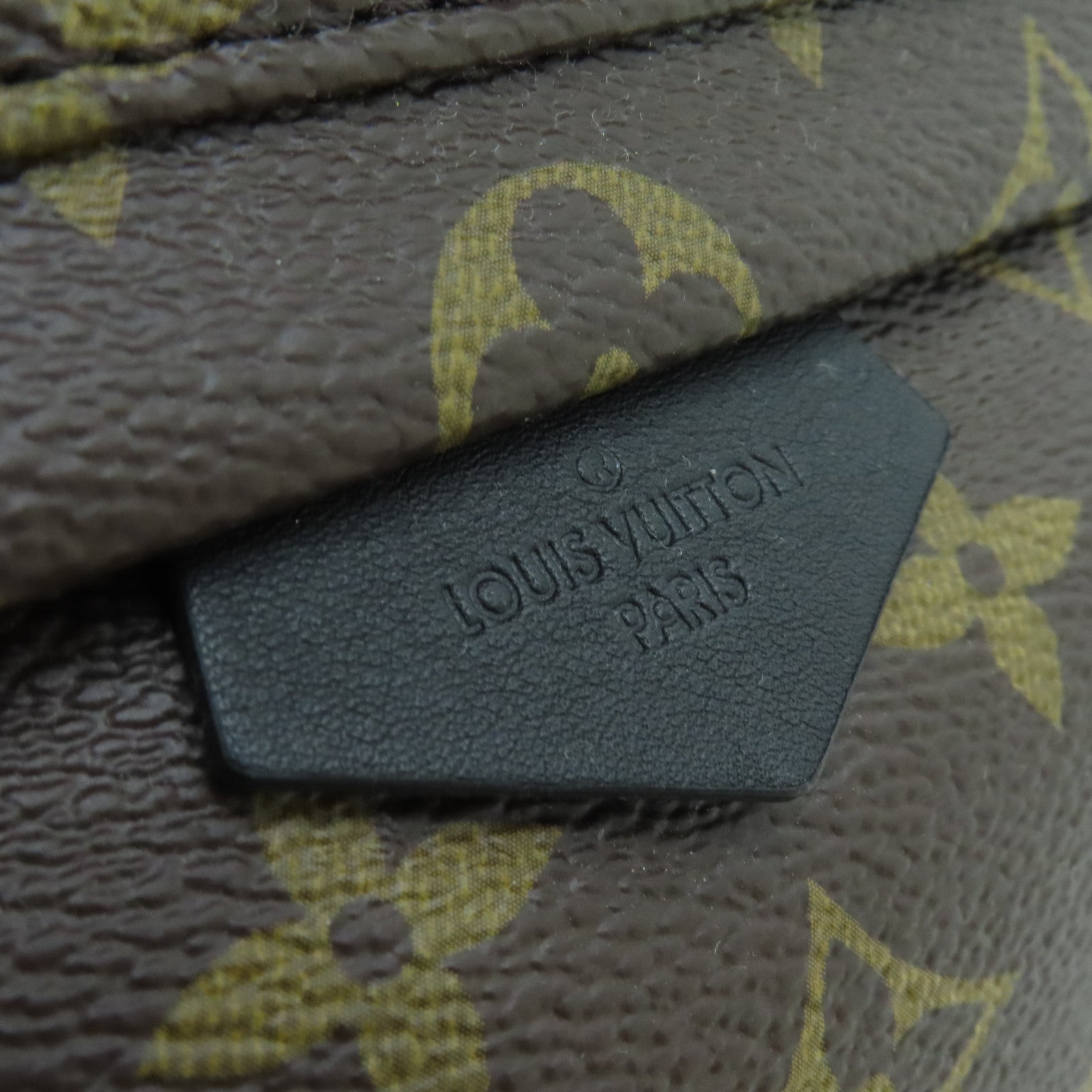 LOUIS VUITTON Monogram Plam Springs PM Backpack Brown with Gold Buckle