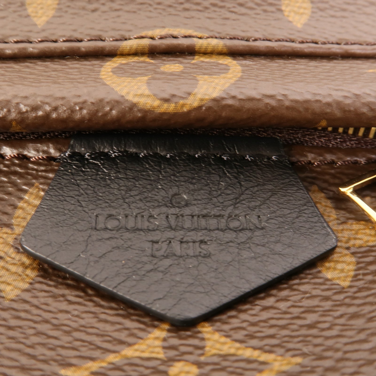 LOUIS VUITTON Monogram Palm Springs Mini金扣背包
