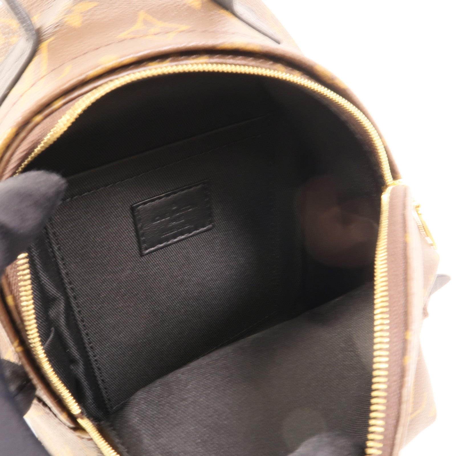 LOUIS VUITTON Monogram Palm Springs Mini金扣背包