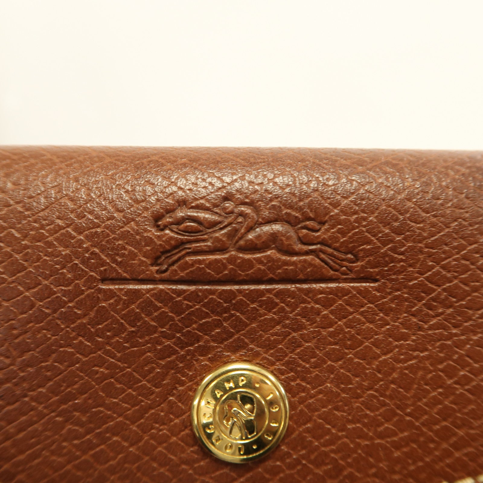 Longchamp 尼龍Hand Bag金扣手挽袋紫色/粉紅色