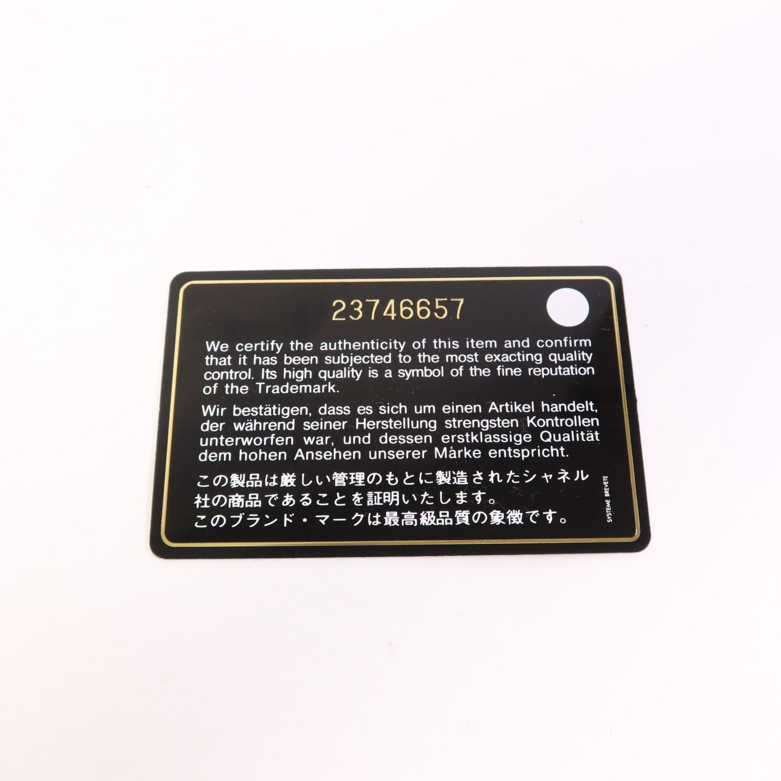 CHANEL 羊皮皮革Pouch銀扣小袋
