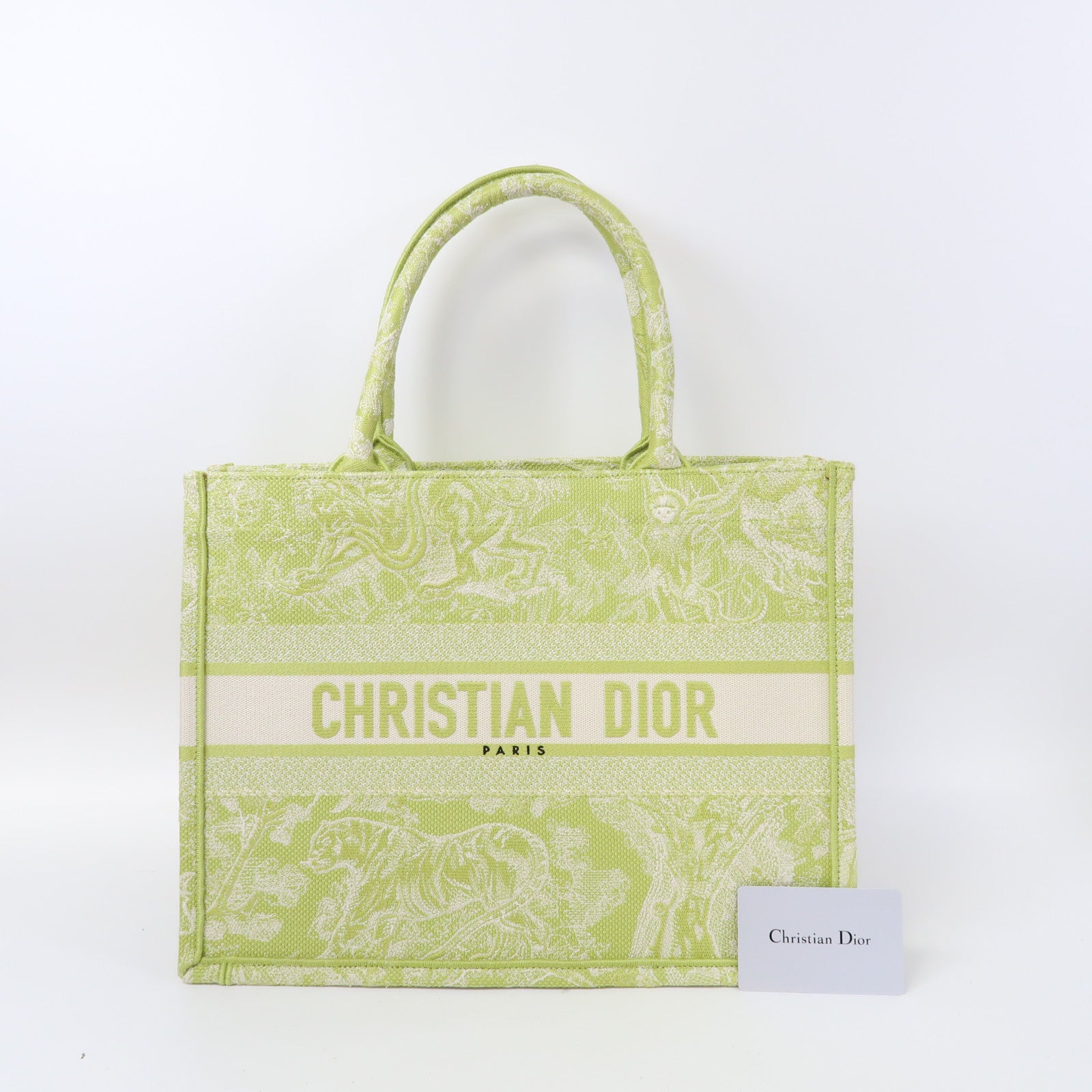 Dior 帆布Medium Book Tote Bag手挽袋綠色