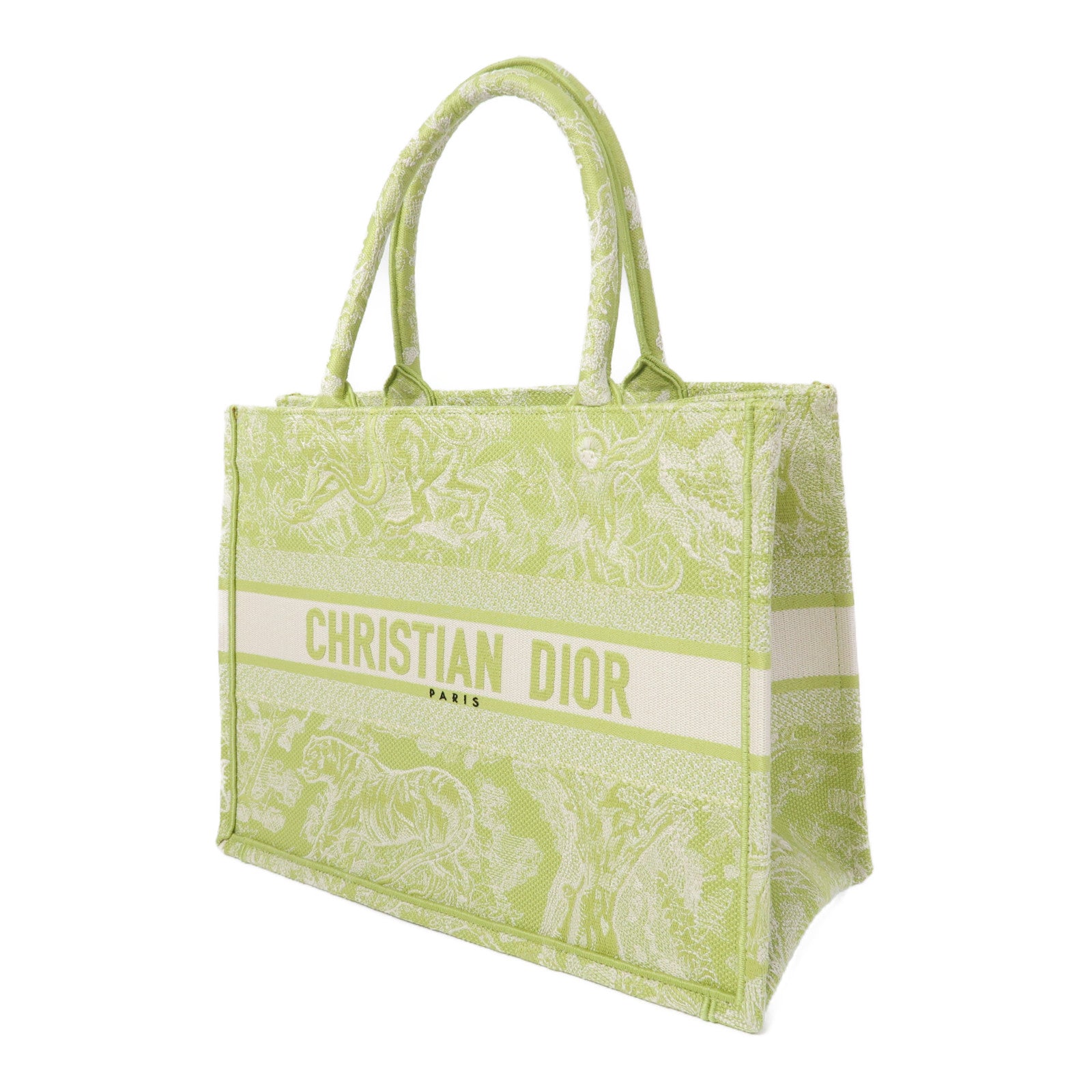Dior 帆布Medium Book Tote Bag手挽袋綠色