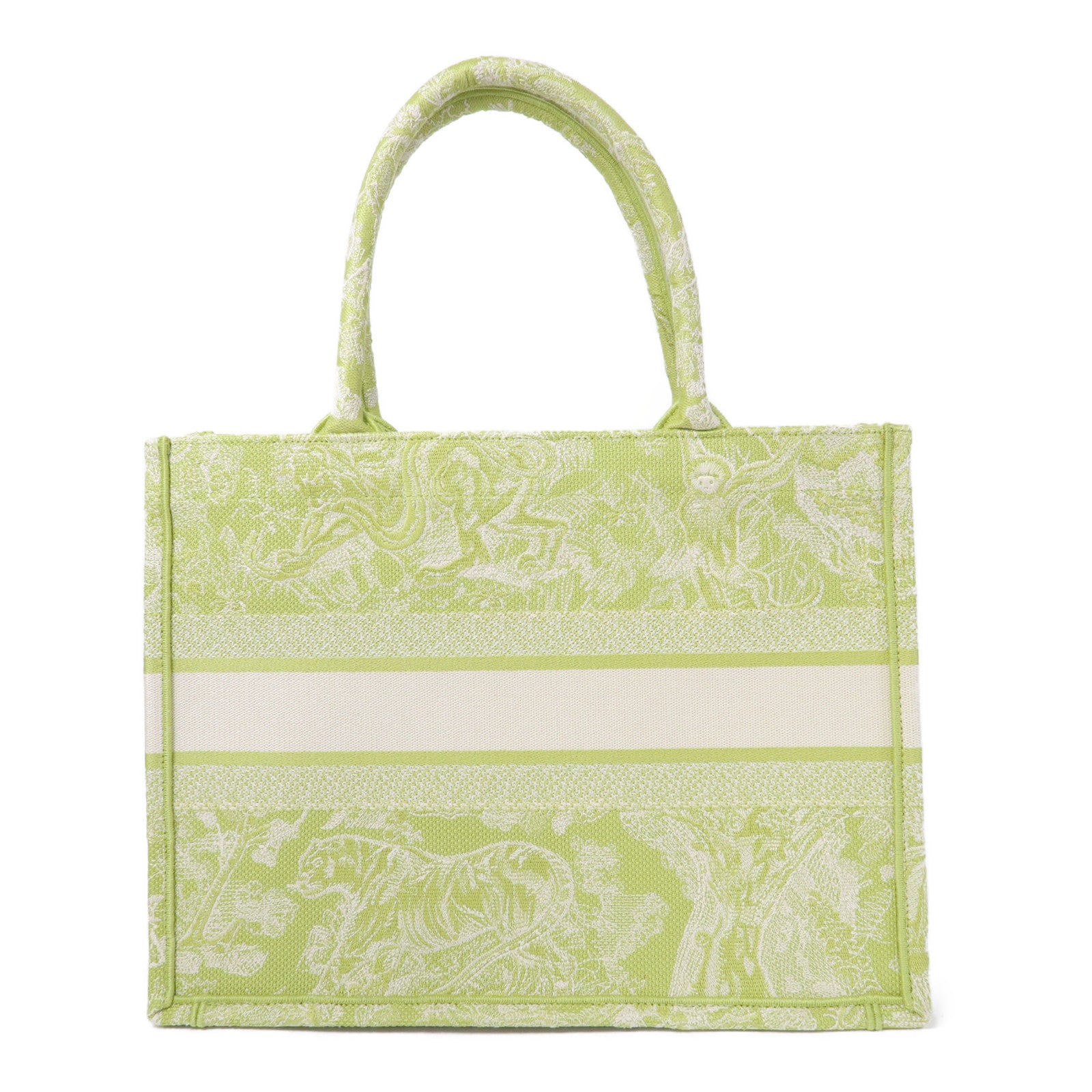 Dior 帆布Medium Book Tote Bag手挽袋綠色
