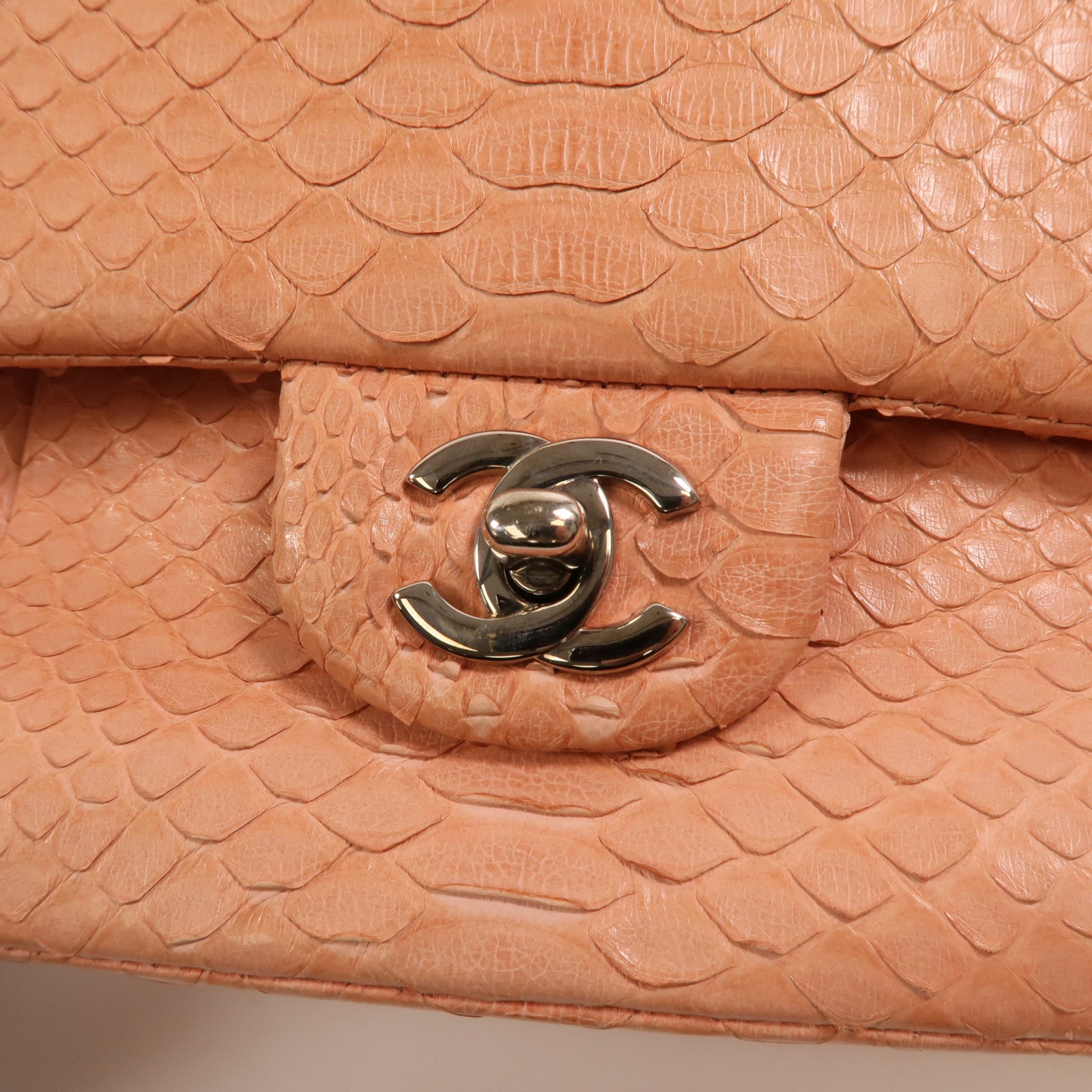 CHANEL 蛇皮皮革Classic 25銀扣鏈帶肩背袋