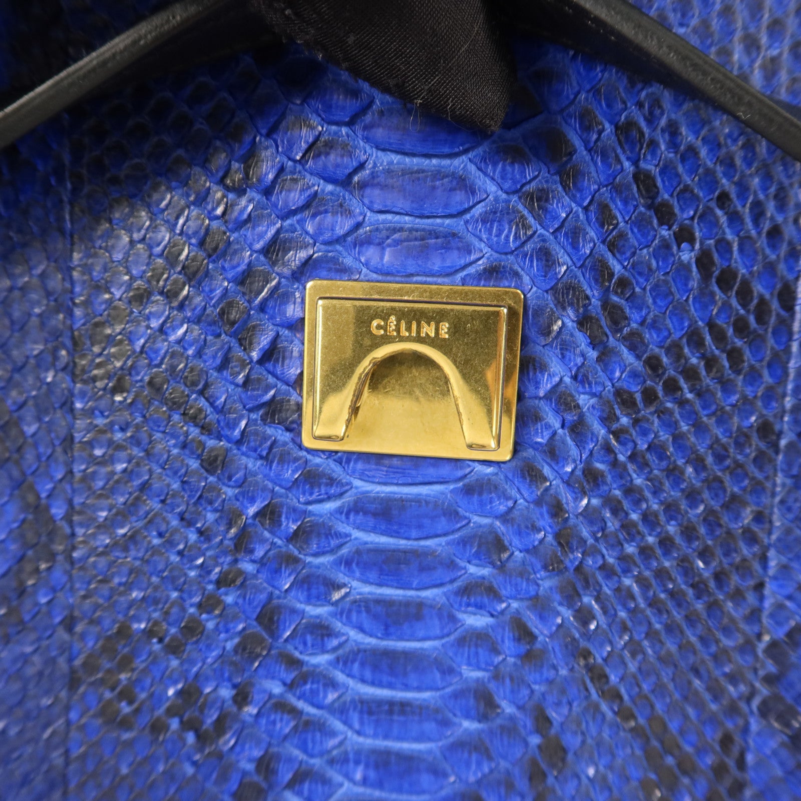 CELINE 蛇皮皮革Mini Belt Bag金扣手挽肩背兩用袋