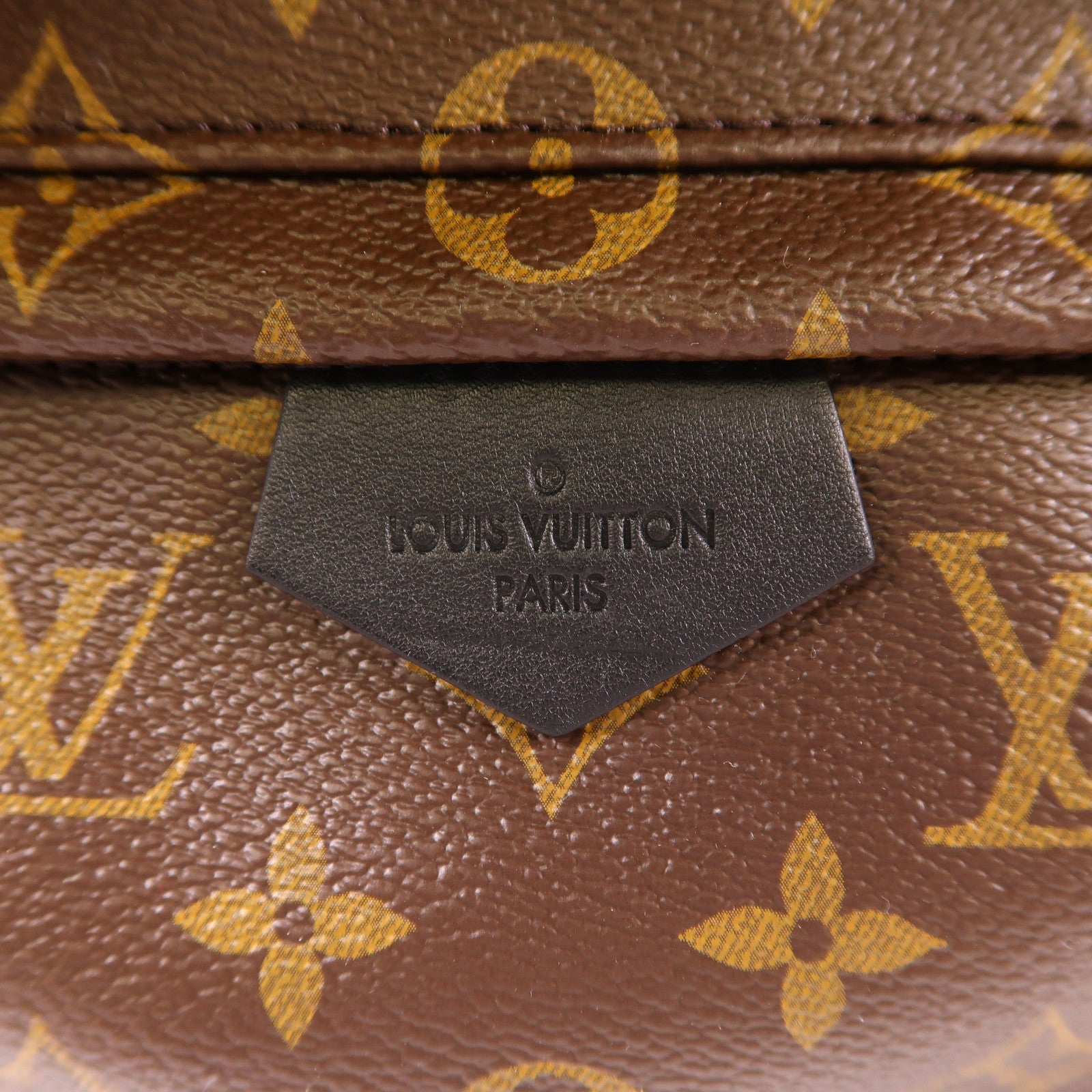LOUIS VUITTON Monogram Palm Spring金扣背包