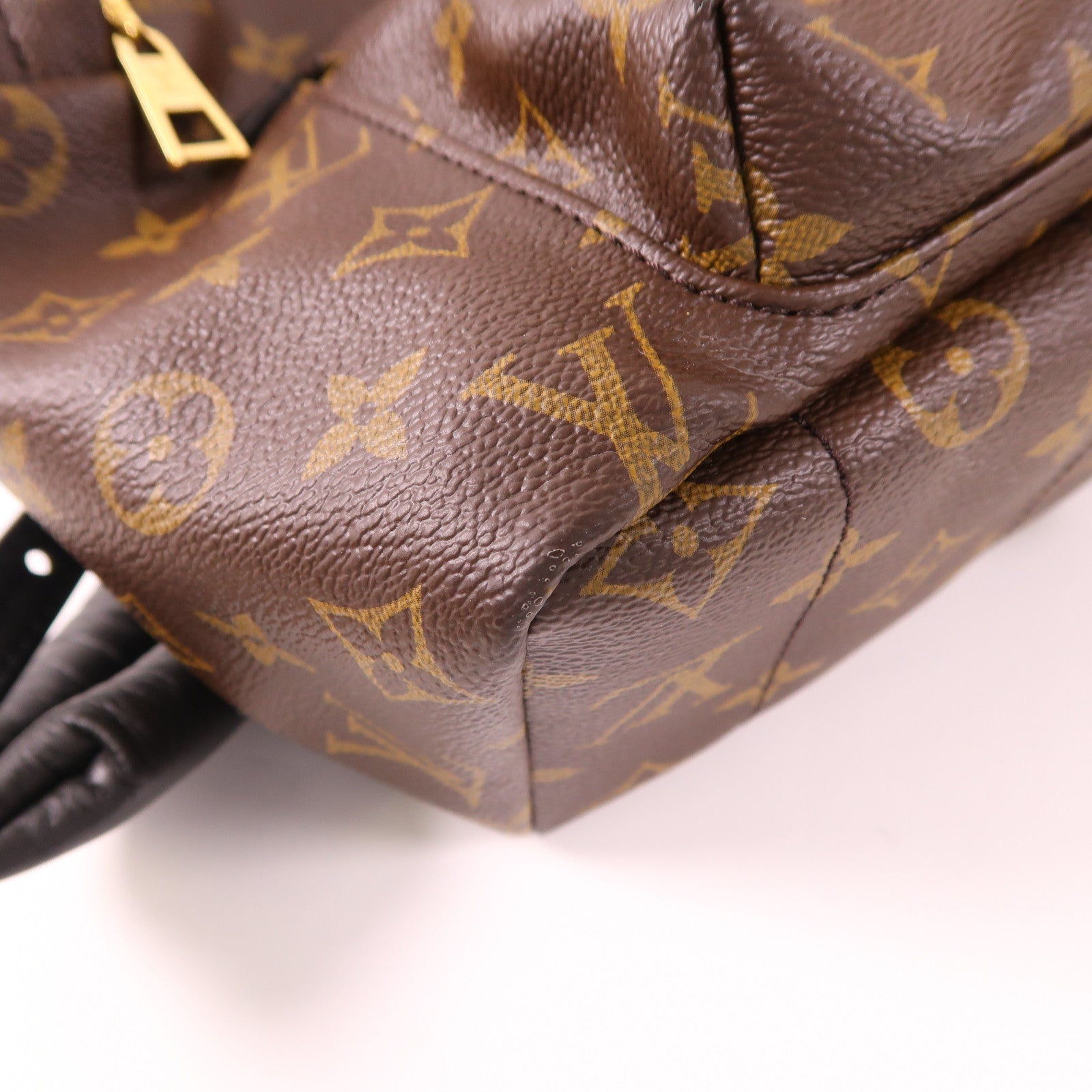 LOUIS VUITTON Monogram Palm Spring金扣背包