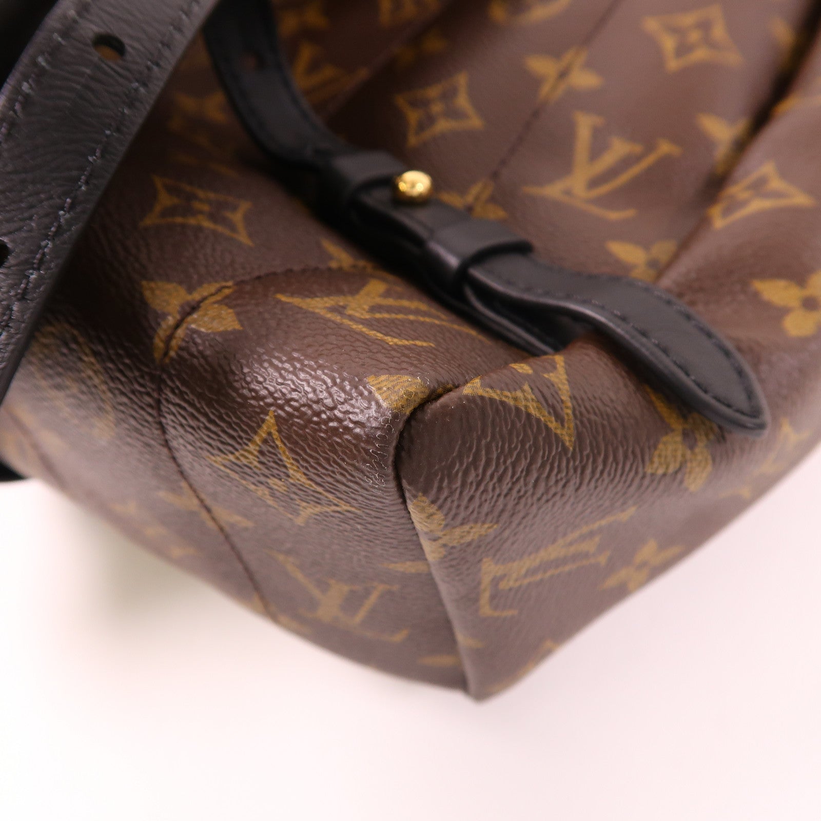 LOUIS VUITTON Monogram Palm Spring金扣背包