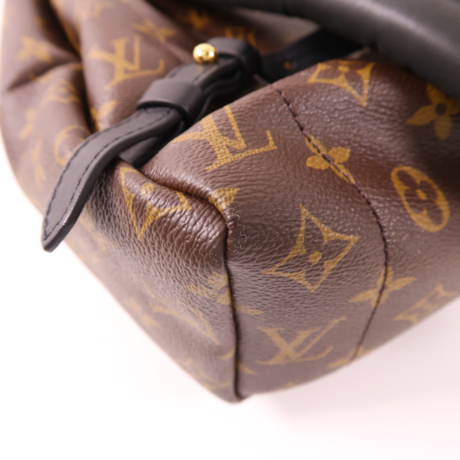 LOUIS VUITTON Monogram Palm Spring金扣背包