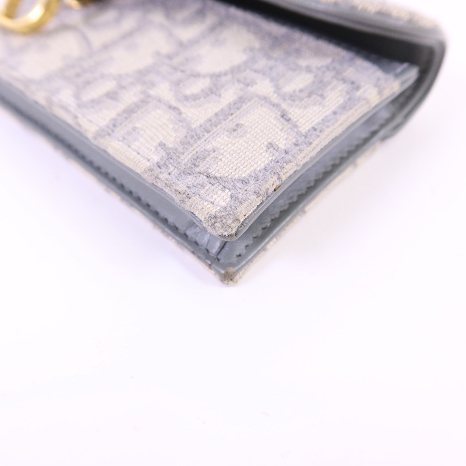 Dior 帆布Saddle Bloom Card Holder金扣卡片套