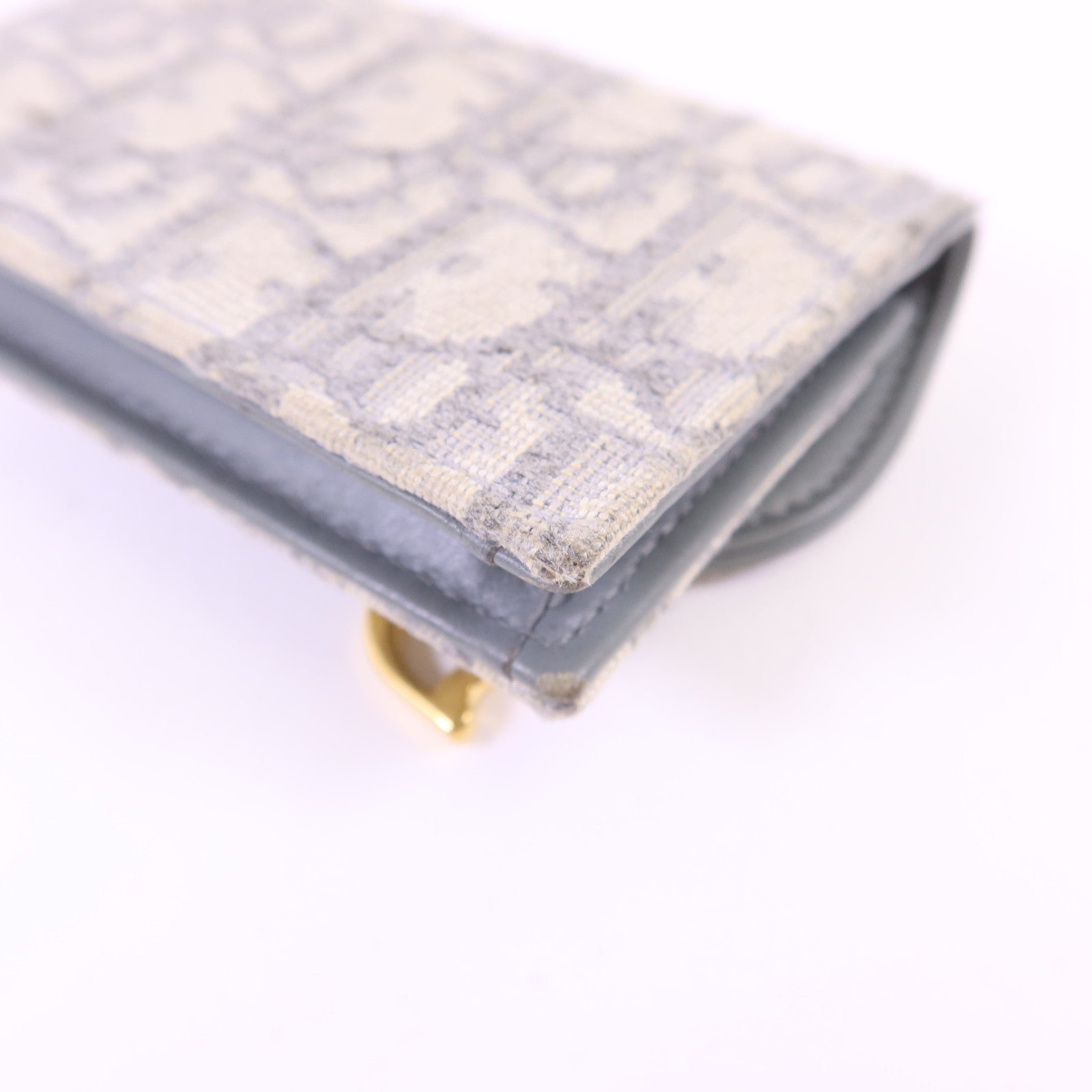 Dior 帆布Saddle Bloom Card Holder金扣卡片套
