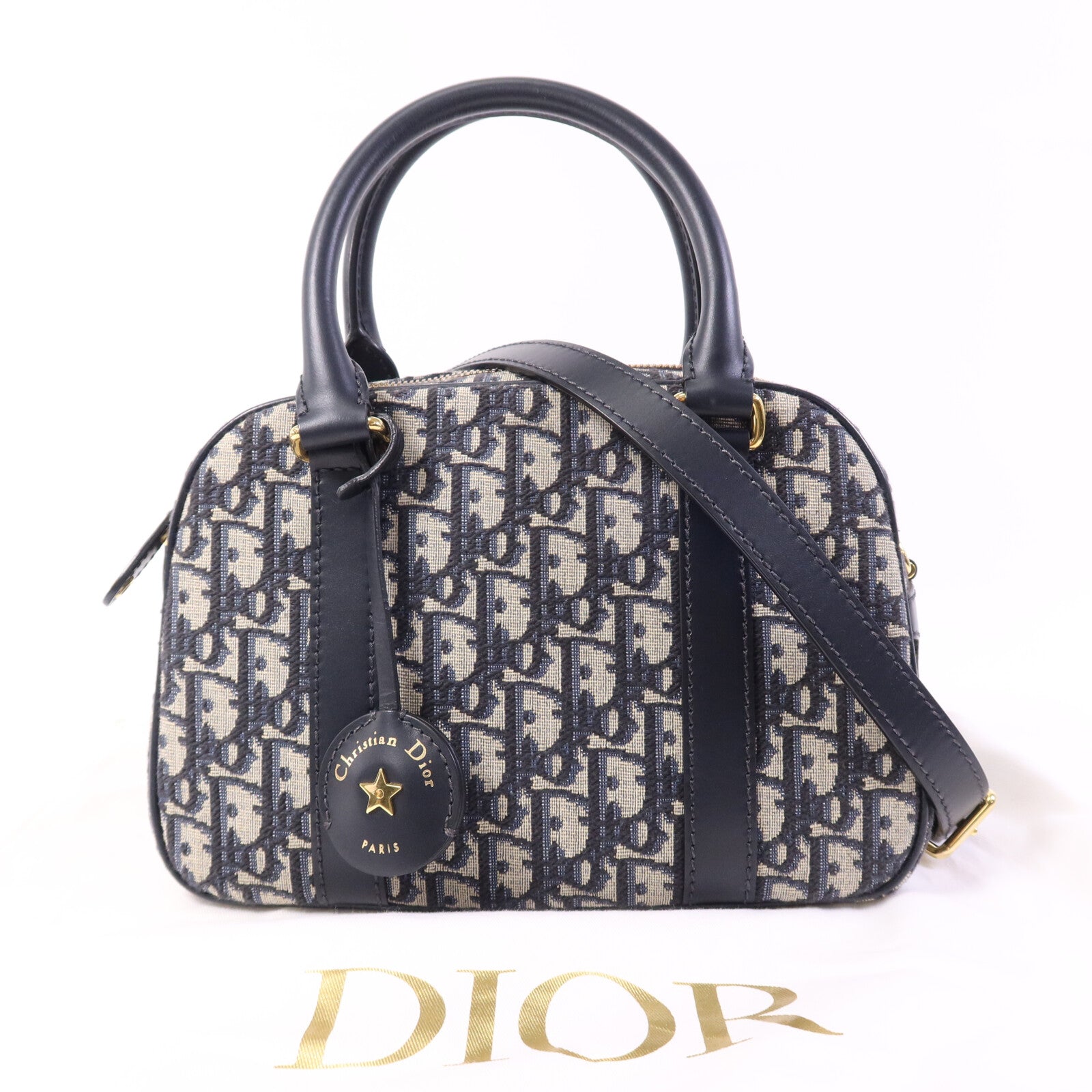 Dior 帆布Vibe M金扣手挽肩背兩用袋