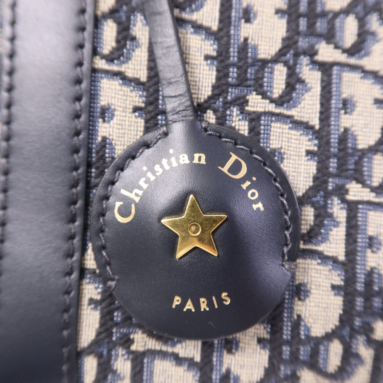 Dior 帆布Vibe M金扣手挽肩背兩用袋