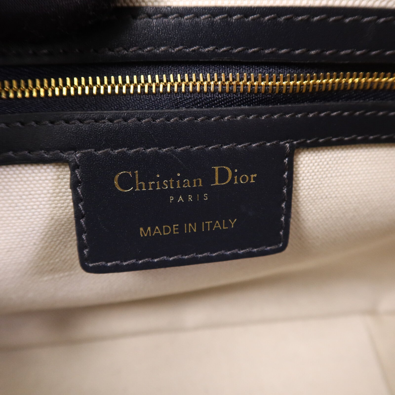 Dior 帆布Vibe M金扣手挽肩背兩用袋